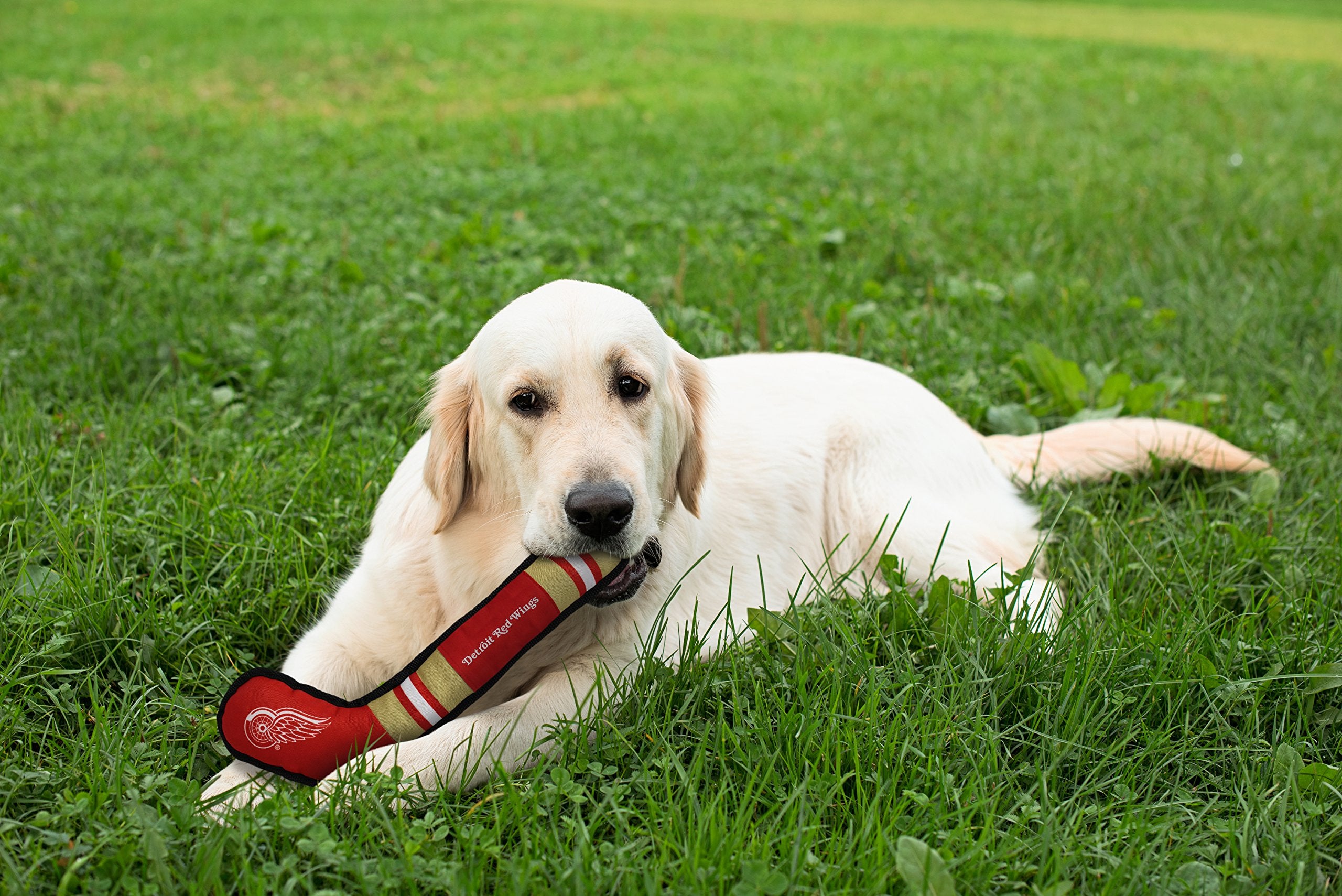 Pets First Nhl Detroit Red Wings Stick Toy For Dogs & Cats. Play Hockey With Your Pet With This Licensed Dog Tough Toy Reward!
