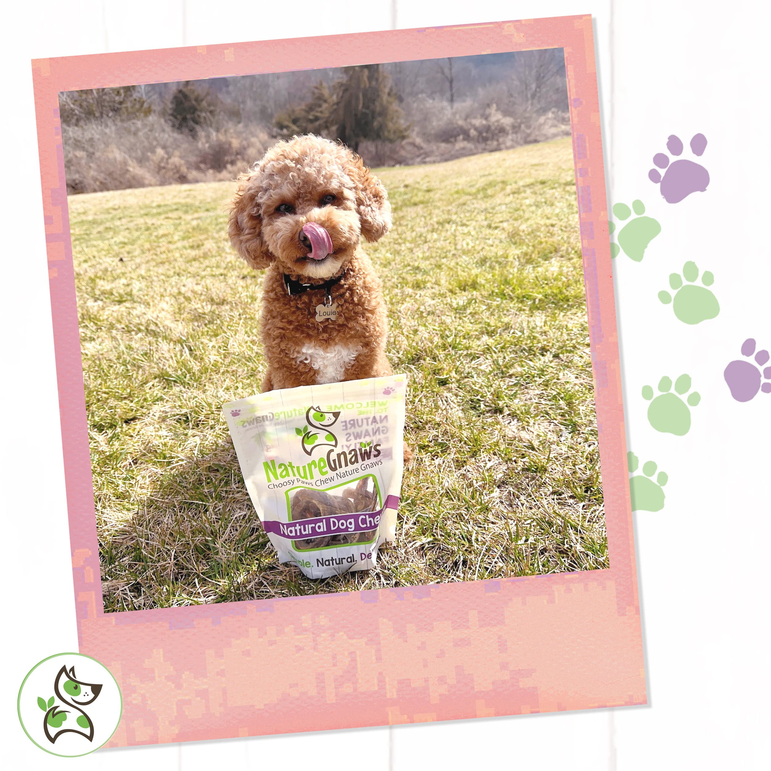 Nature Gnaws - Pork Bully Stick Pretzels for Dogs - Premium Natural Pork Dental Chews - Jerky Treats for Puppies and Small Breed
