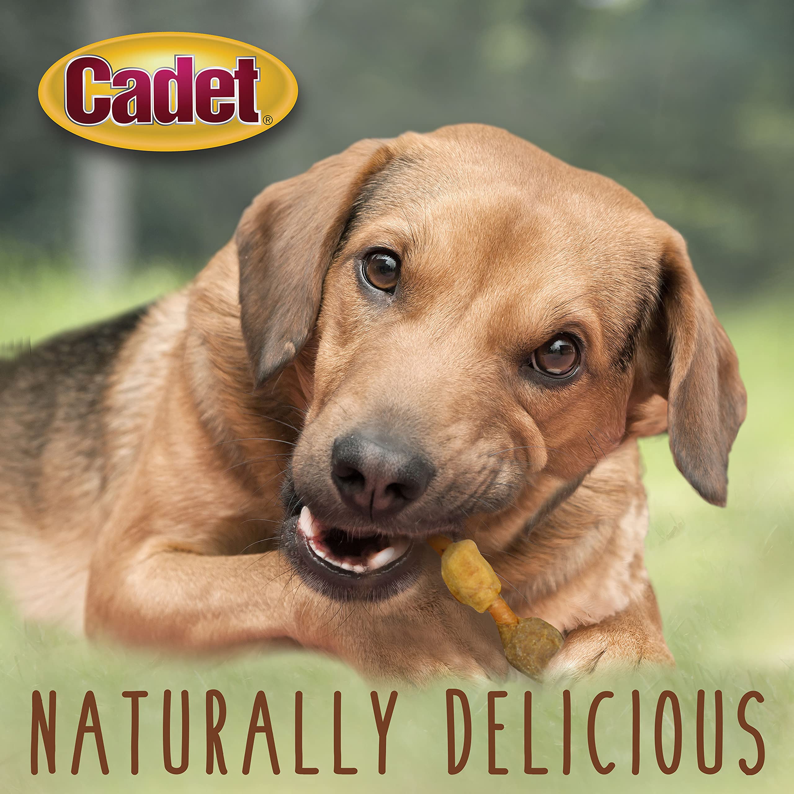 Cadet Gourmet Pork Hide Shish Kabob Dog Treats 5 (18 Count)