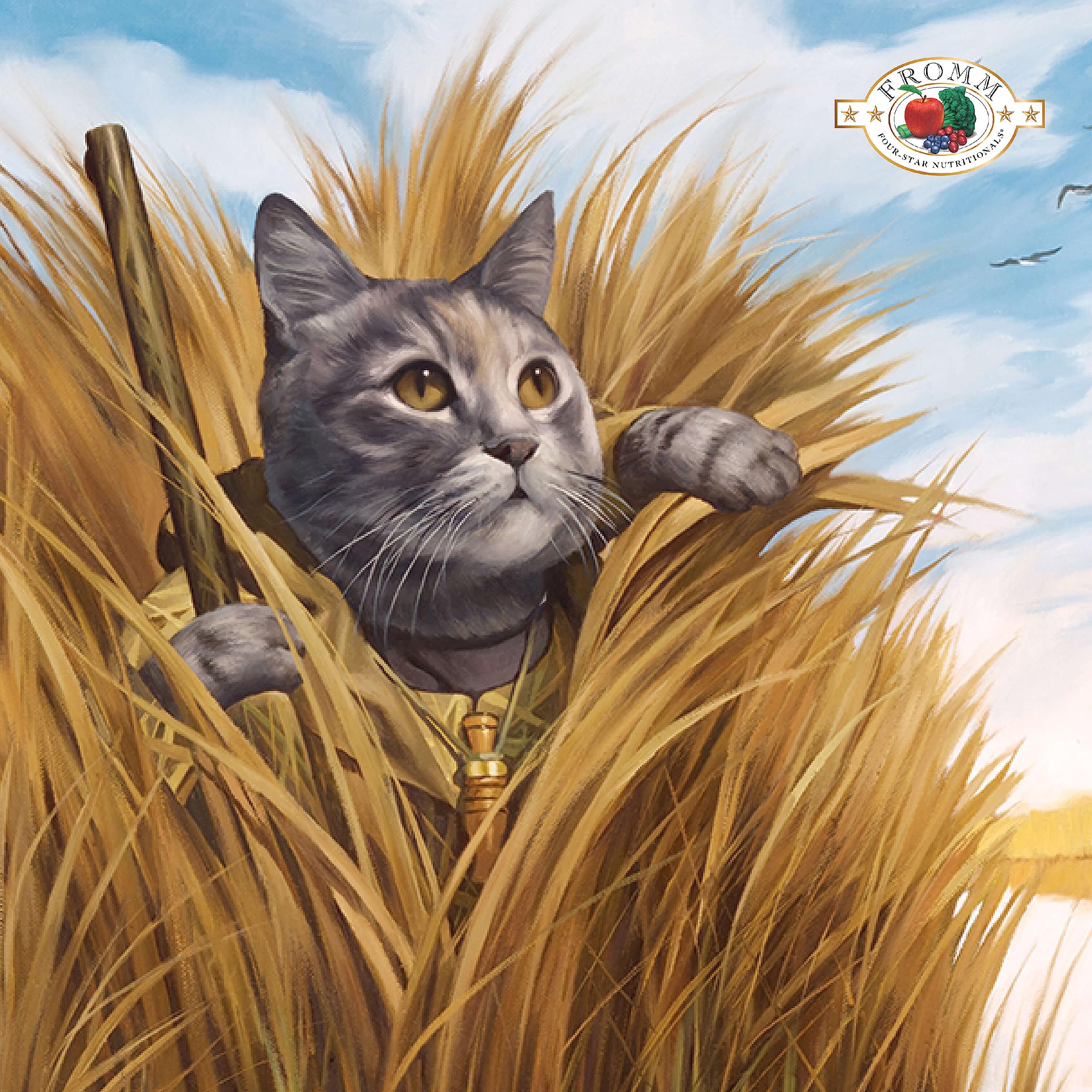 Fromm Four-Star Nutritionals Duck A La Veg Cat Food - Premium Dry Cat Food - Duck Recipe - 10 lb
