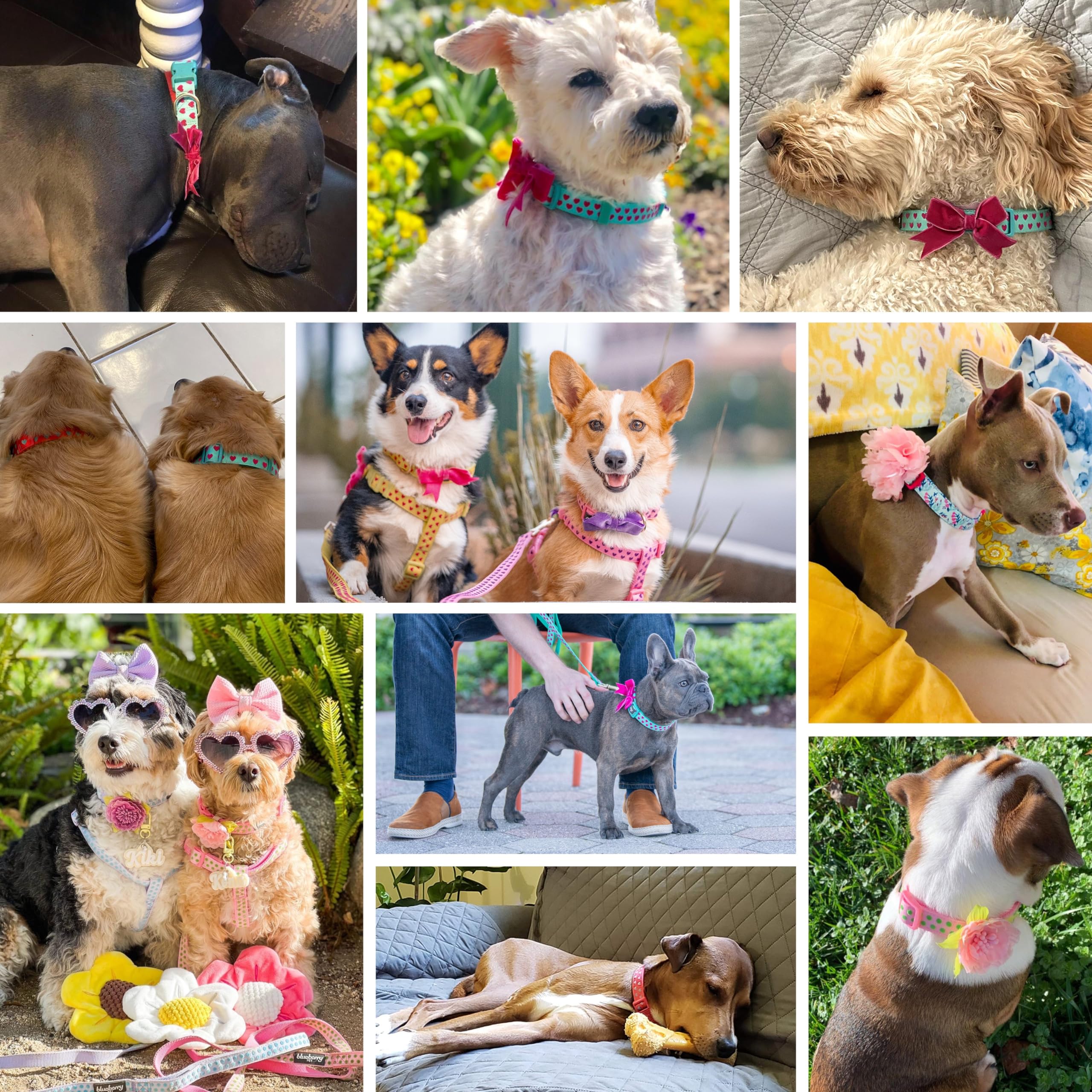 Blueberry Pet 4 Patterns Adjustable Flocking Dog Collar With Artificial Silk Flower - Polka Dot In Baby Pink, Small, Neck 12''-1