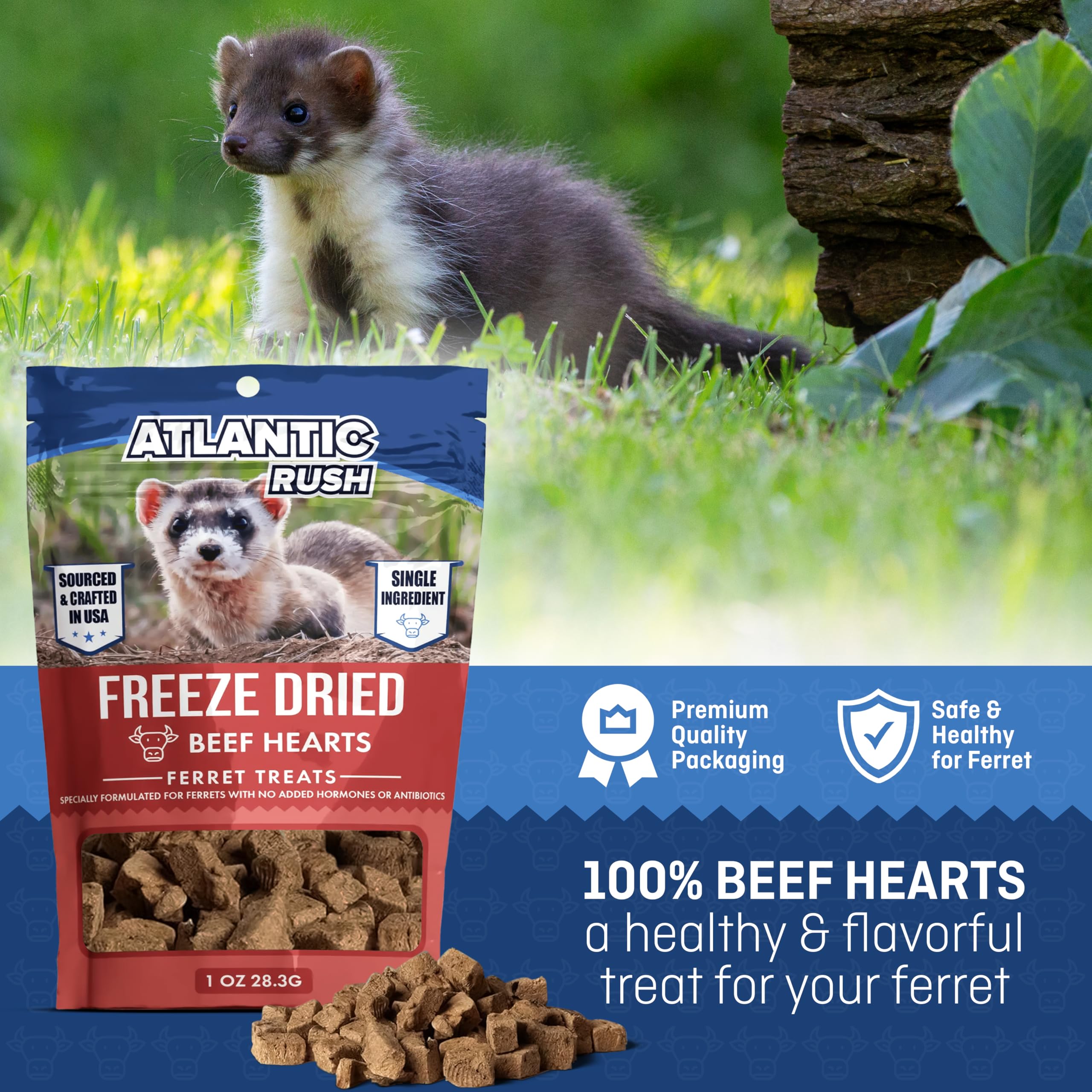 Freeze Dried Small Pet Treats - Resealable Bag of Treats for Ferrets - Ferret Snacks - Single Ingredient Ferret Food With No Pre