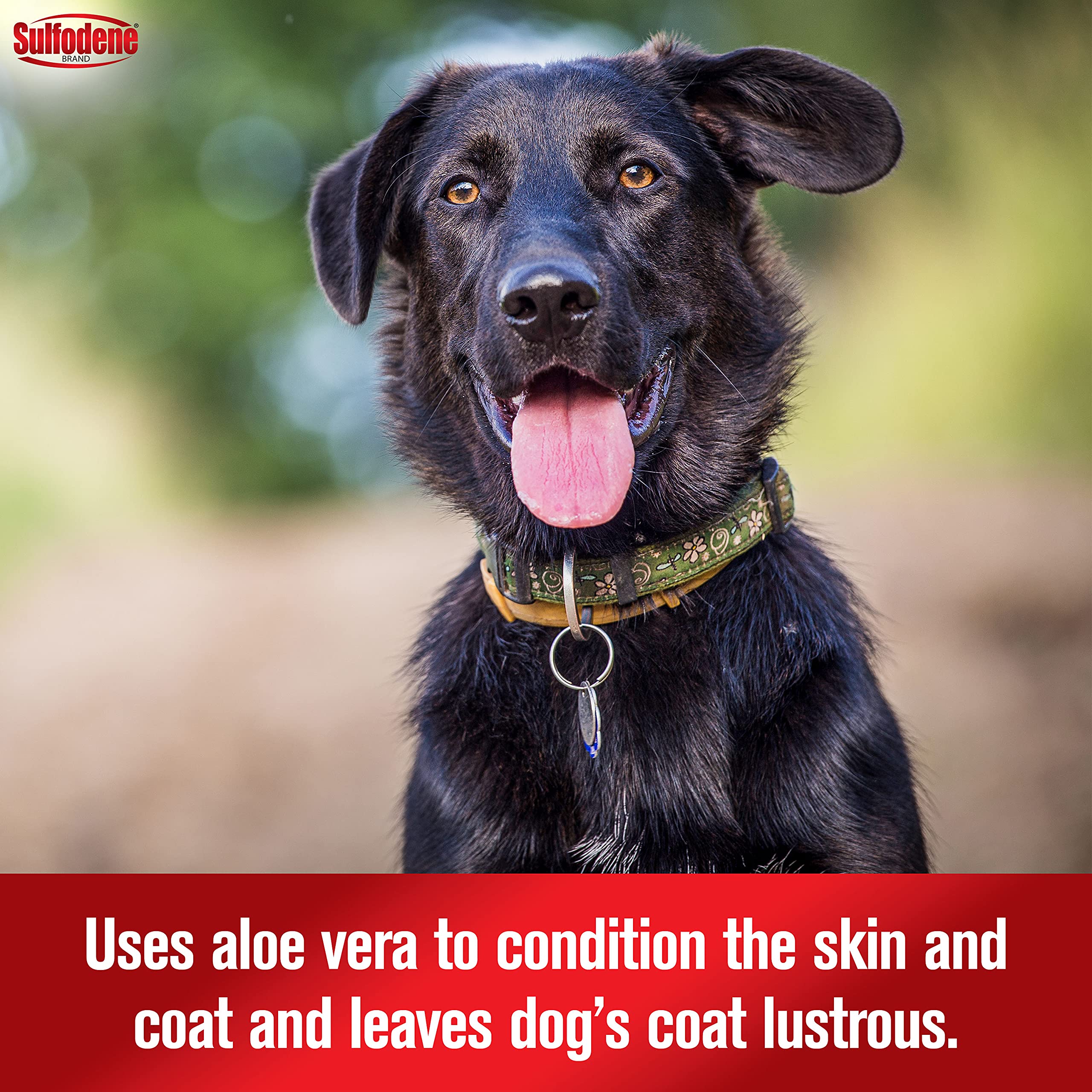 Sulfodene Medicated Shampoo & Conditioner For Dogs 12Oz