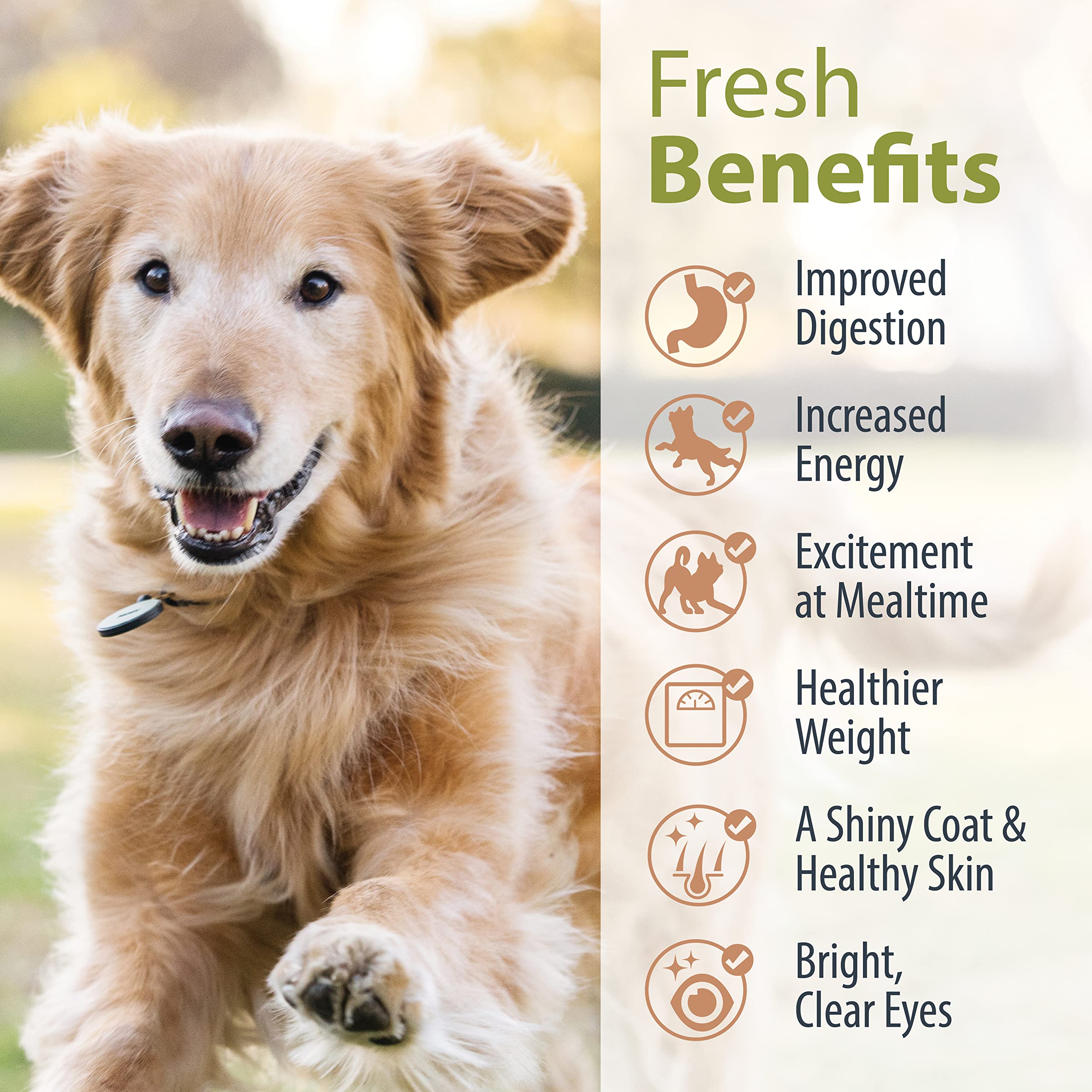 JustFoodForDogs Pantry Fresh Wet Dog Food Complete Meal or Dog Food Topper, Turkey & Whole Wheat Macaroni Human Grade Dog Food R