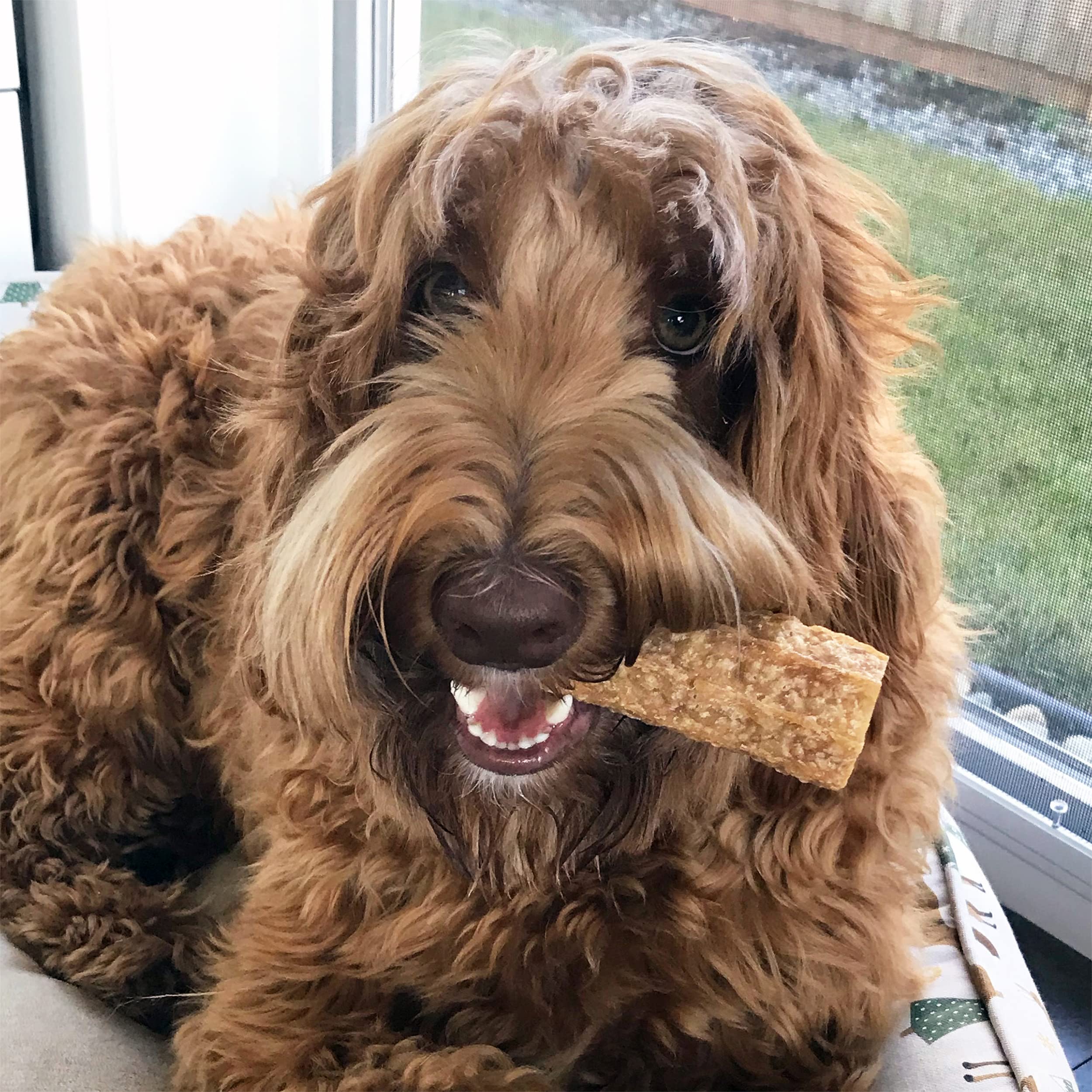 Himalayan Dog Happy Teeth Bacon Large