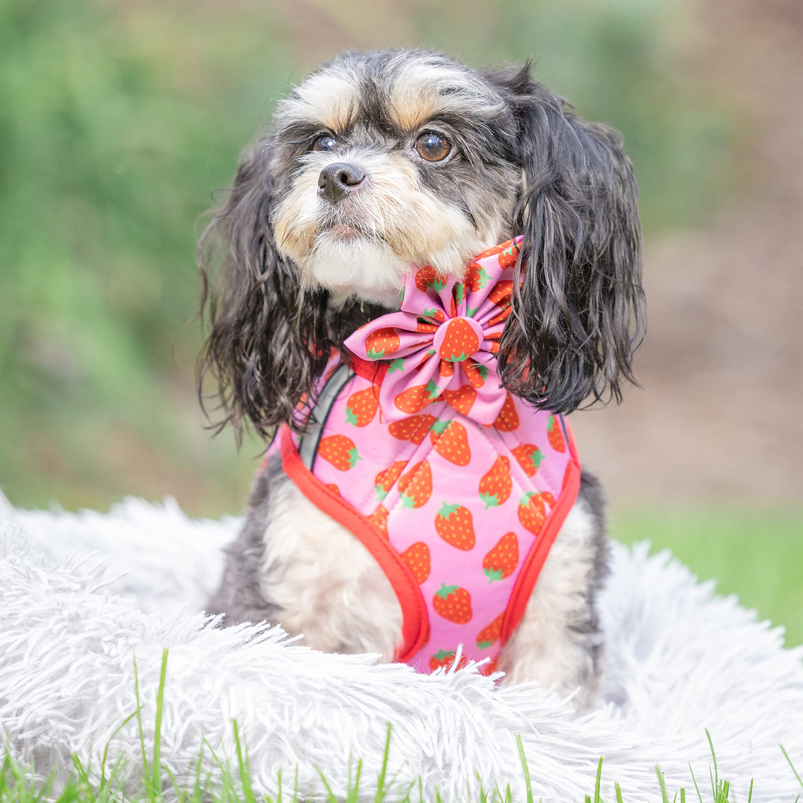 Huxley & Kent Hudson Walking & Training Harness - Strawberry (Large, 22-35Lbs) - Easy Control Step-In Mesh Vest Harness With Ref