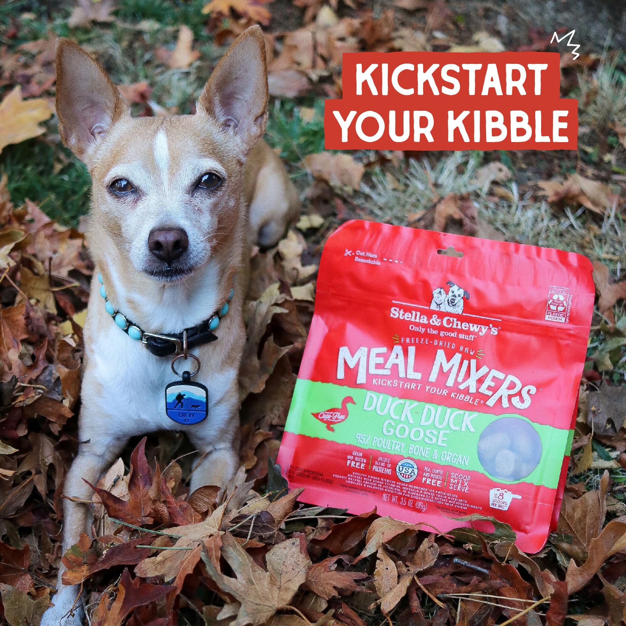 Stella & Chewys Freeze Dried Raw Duck Duck Goose Meal Mixer - Dog Food Topper for Small & Large Breeds - Grain Free, Protein Ri