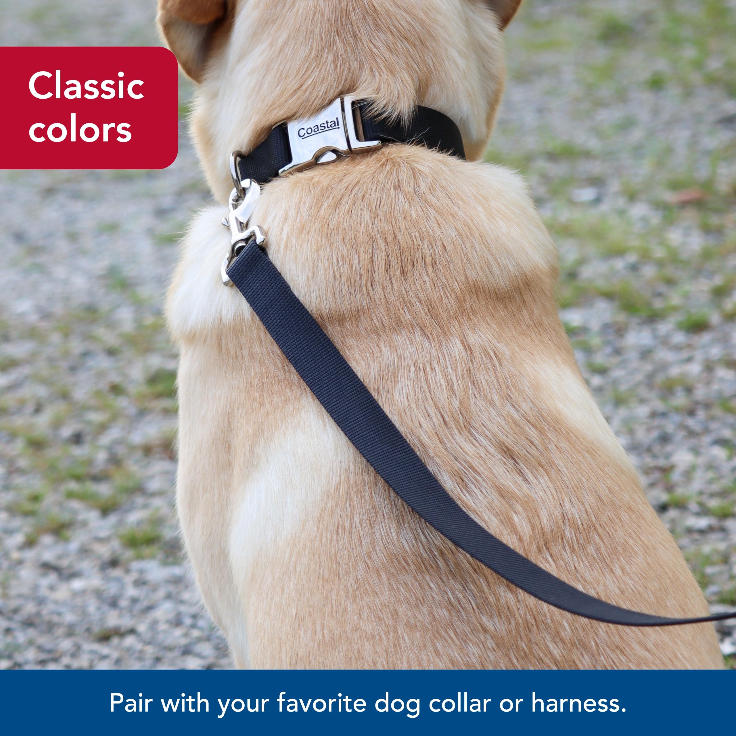 Coastal Pet Single-Ply Dog Leash - Sturdy Pet Leash - Comfortable & Stylish - Resists Fraying - Vibrant & Fade-Resistant Color - Black, 3/4' X 6'