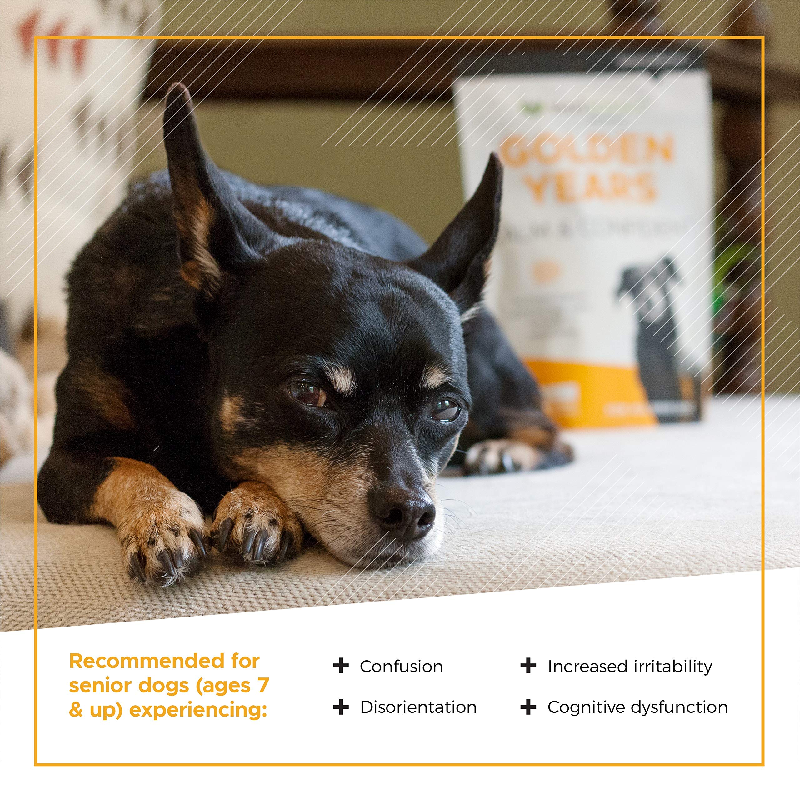 VetriScience Golden Years Calm and Confident Cognitive Support for Senior Dogs, Chicken, 60 Chews - Confusion, Anxiety, and Rest
