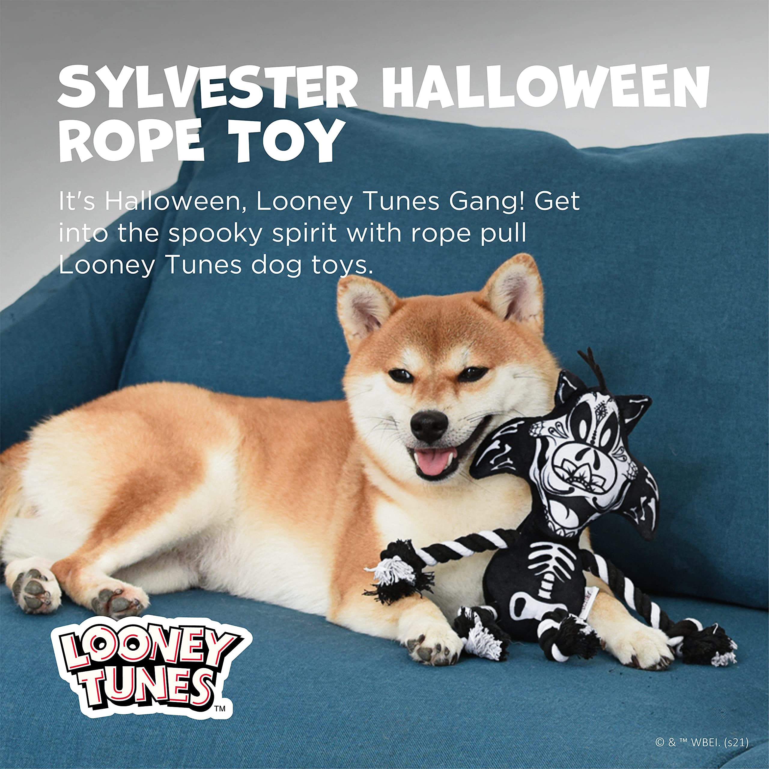Looney Tunes For Pets Sylvester The Cat Halloween Skeleton Rope Pull Dog Toy | Sylvester The Cat Squeaky Dog Toy | Plush Fabric Dog Chew Toy Rope Toy For Dogs, 9 Inch (Ff16974)