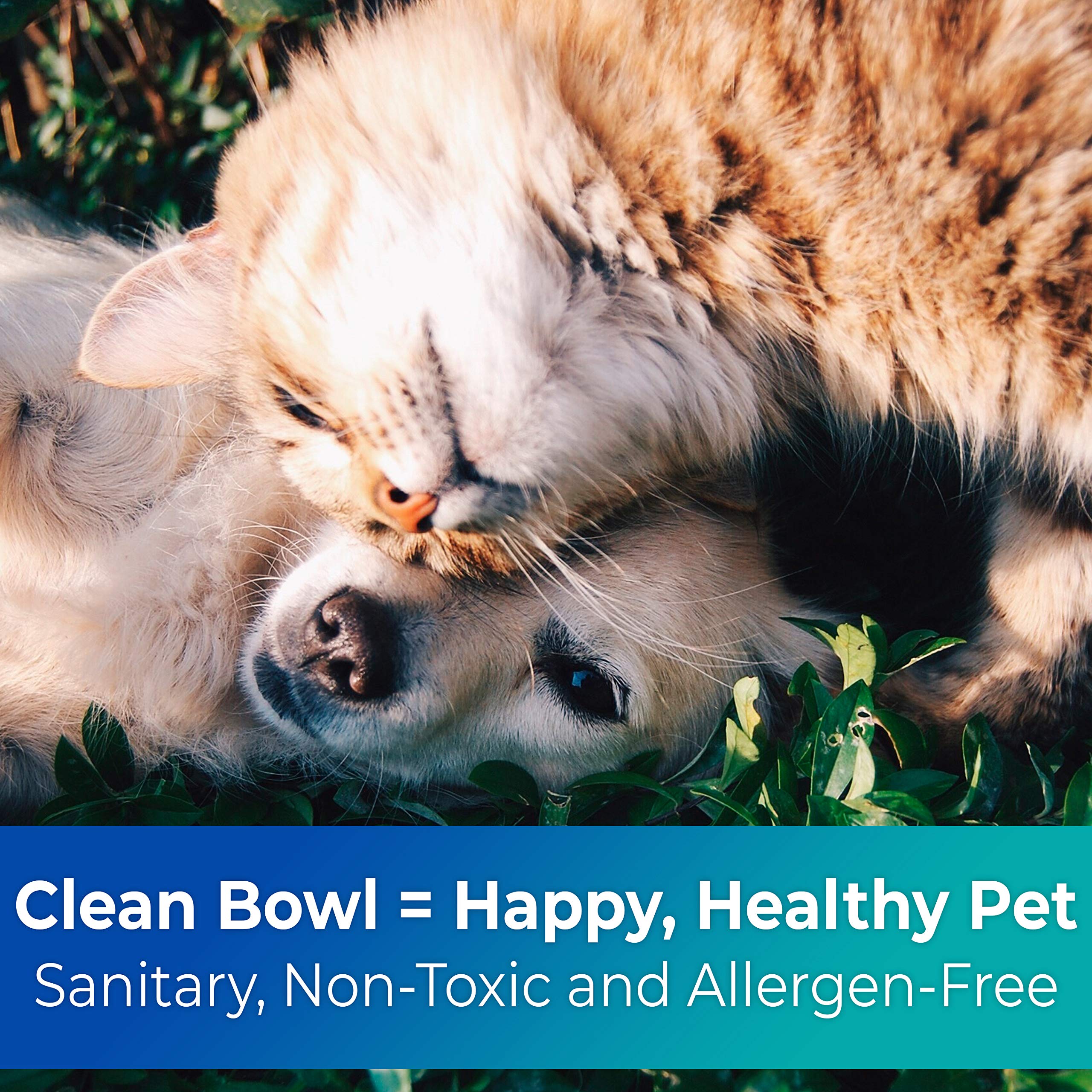 Vet-Grade, Biodegradable and Disposable Pet Bowls Bulk 50 Pk 8 Oz/1 Cup. Safe, Non-Toxic Food and Water Dishes for Puppies, Smal