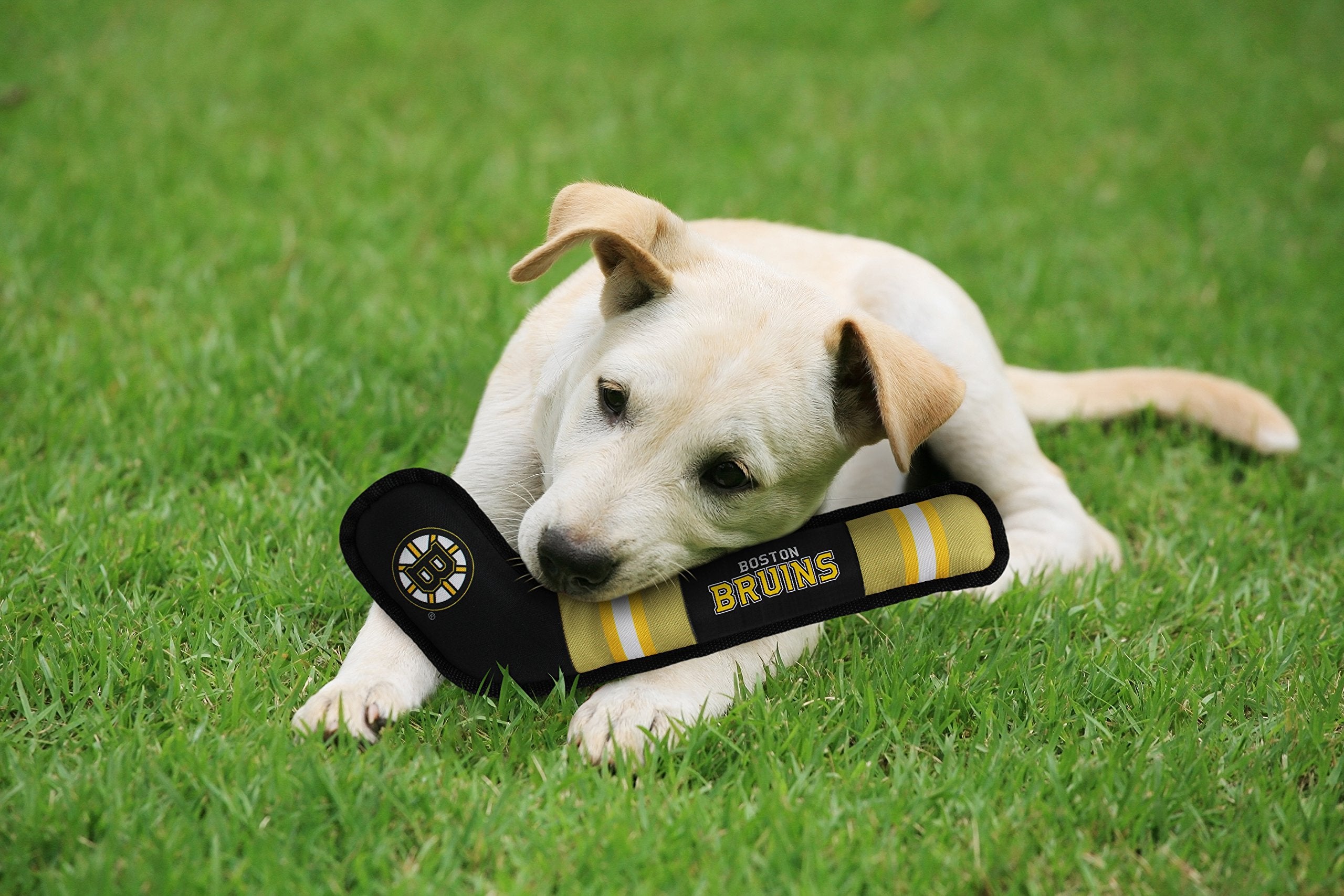 Pets First Dog Toy Tough Nylon With Inner Squeaker Licensed By Nhl Boston Bruins Hockey Stick Toy For Dogs & Cats. Play Hockey W