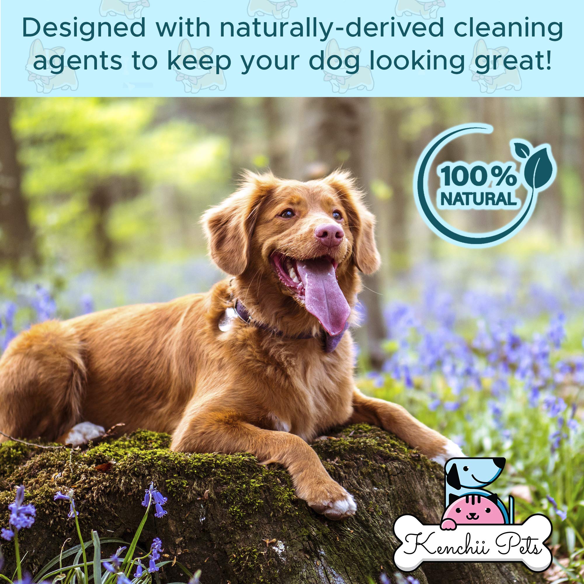 Professional Pet Grooming Spray For Puppies And Dogs | All-Natural Scented Moisturizing Dog Detangler Spray | Puppy Conditioner
