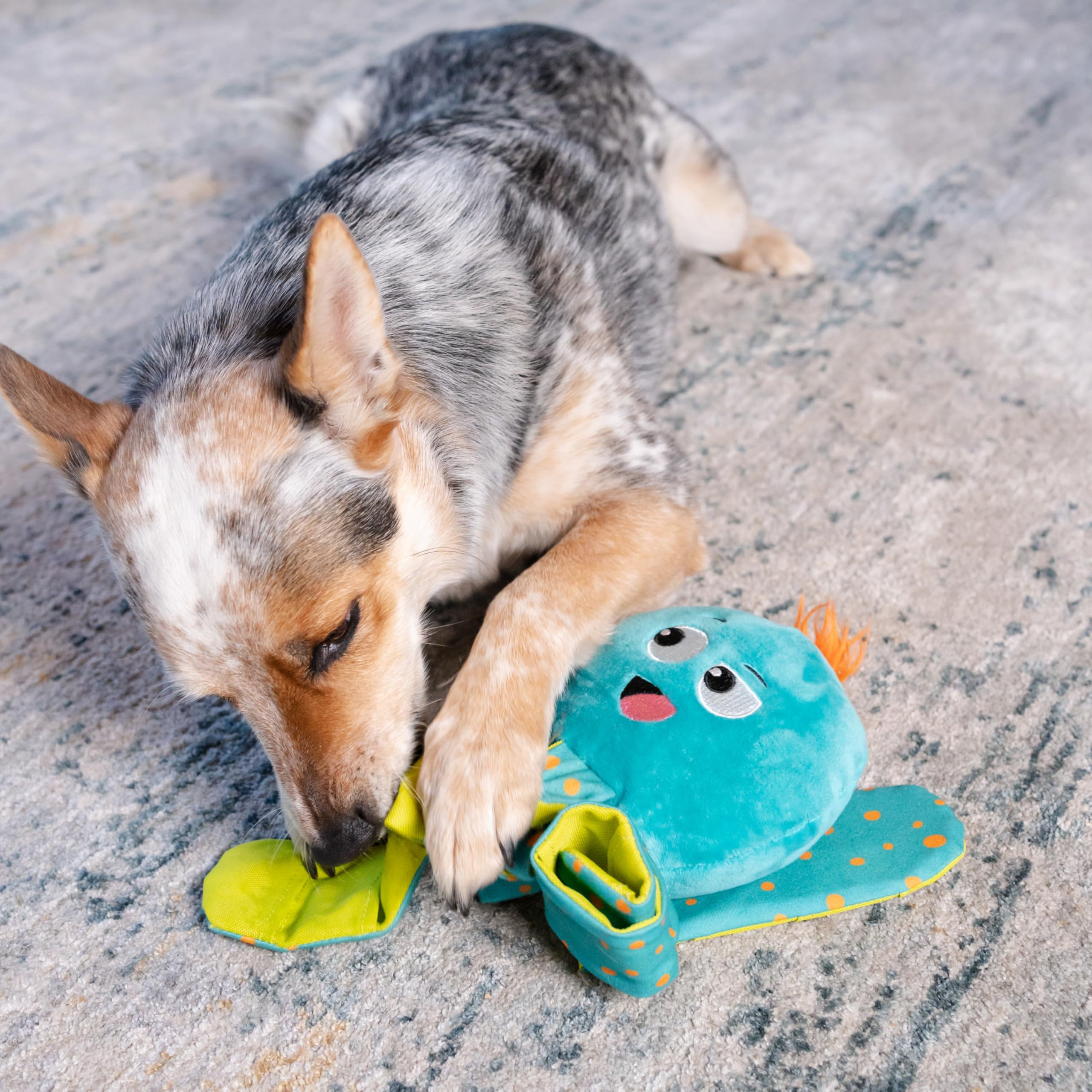 Outward Hound by Nina Ottosson Silly Legz Interactive Plush Dog Puzzle, Dog Enrichment Toys, Plush, Floppy, Long, Octopus, Blue