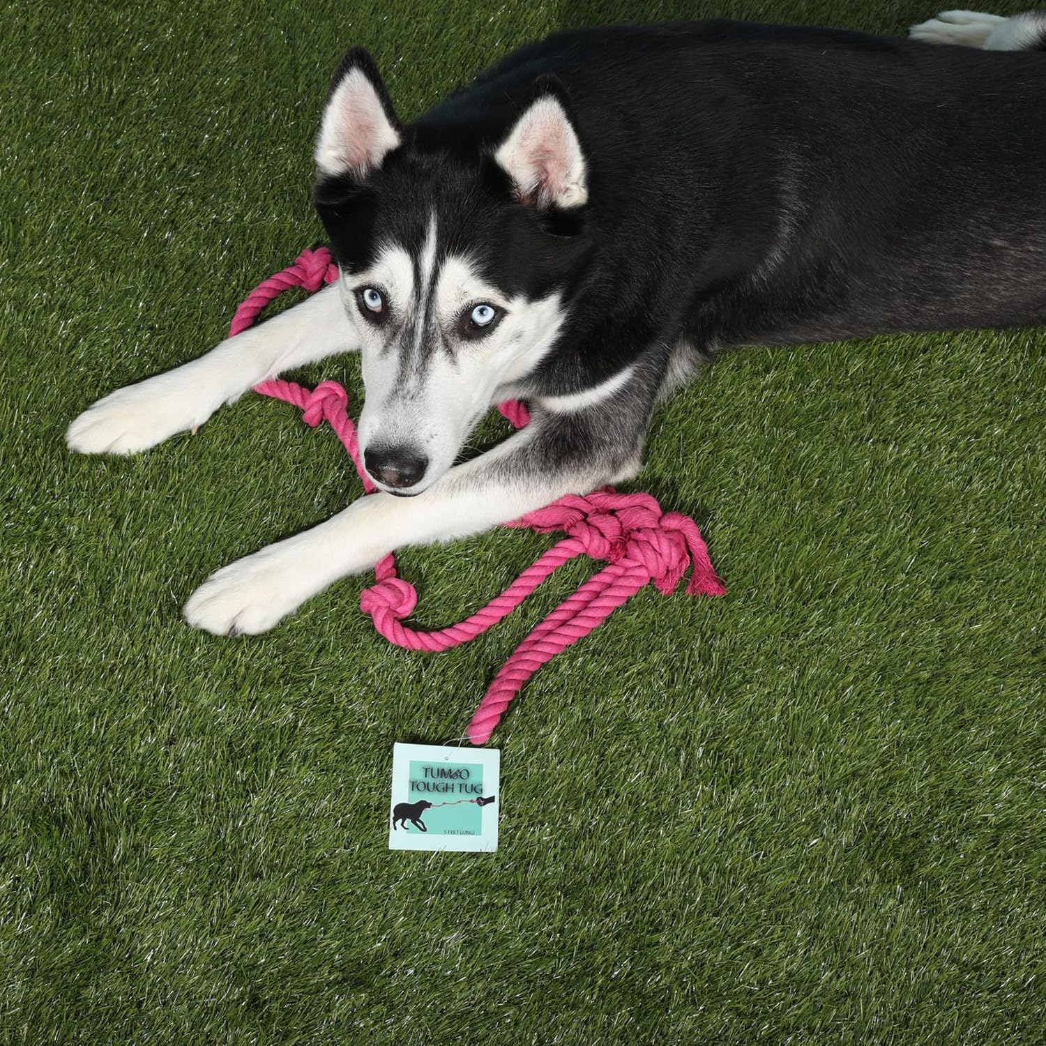 Tumbo Tough Tug Rope Dog Toy - (Pink 5 ft Long Strong and Durable Rope Pull Toy with Handle) TUG of WAR Dog Toy