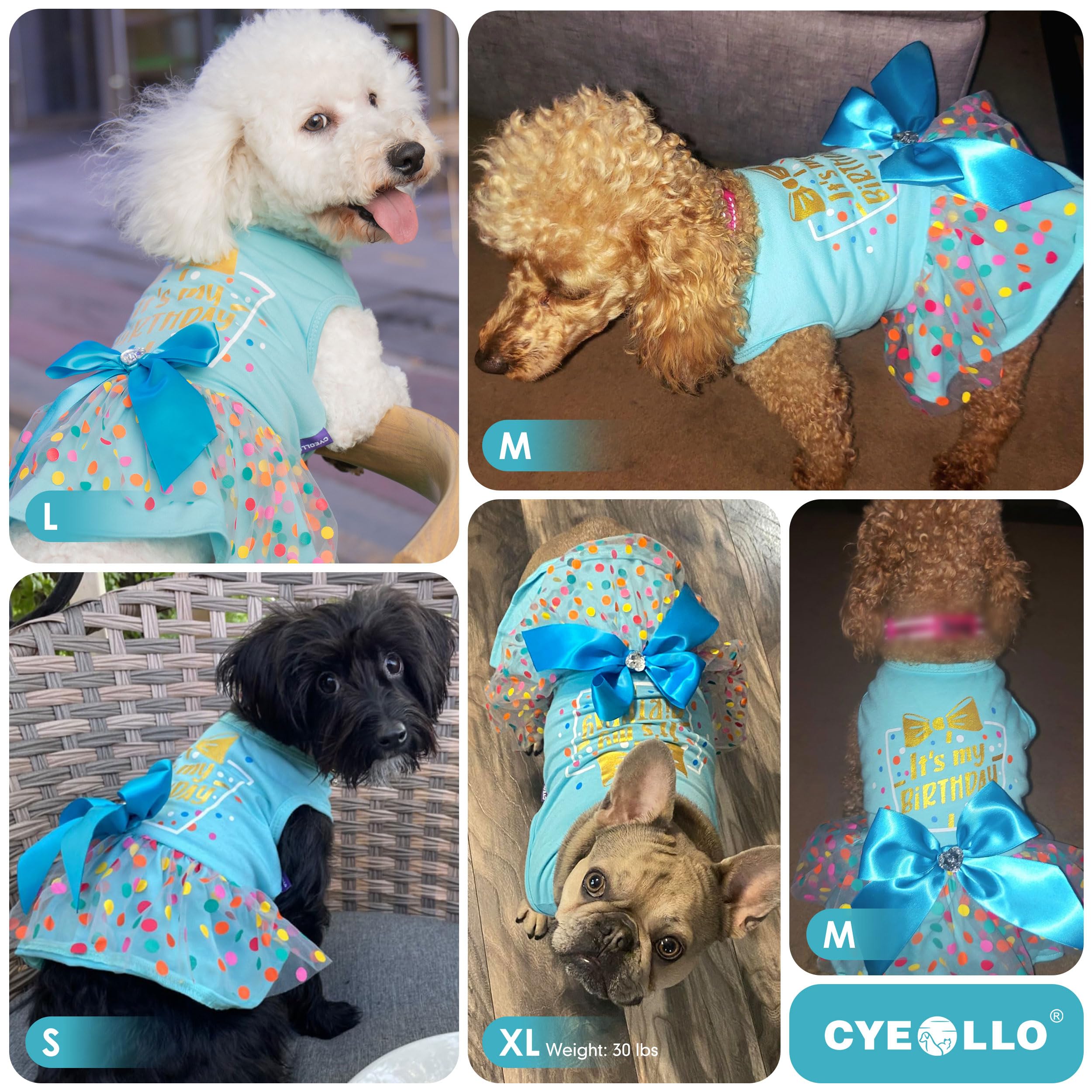 Cyeollo Birthday Dress Party Tulle Clothes For Small Medium Dogs - Girl Dog Dresses, Pet Holiday Outfit Apparel, Blue, L