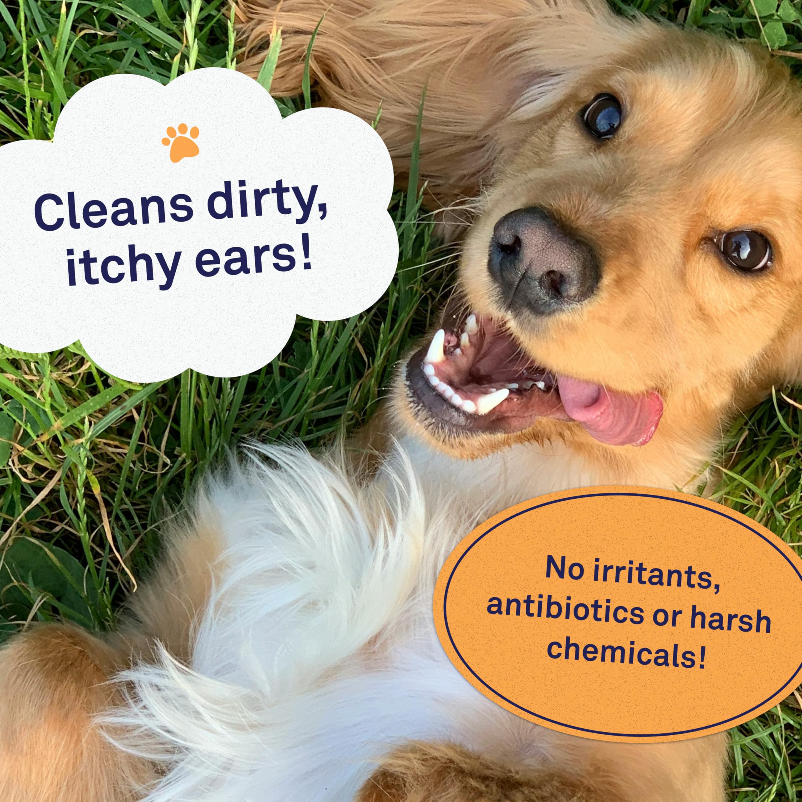 Petpost | Dog Ear Cleaner Wipes - Ultra Soft Cotton Pads In Coconut Oil Aloe Solution - Dog Ear Rinse & Cleanser 100 Ct.