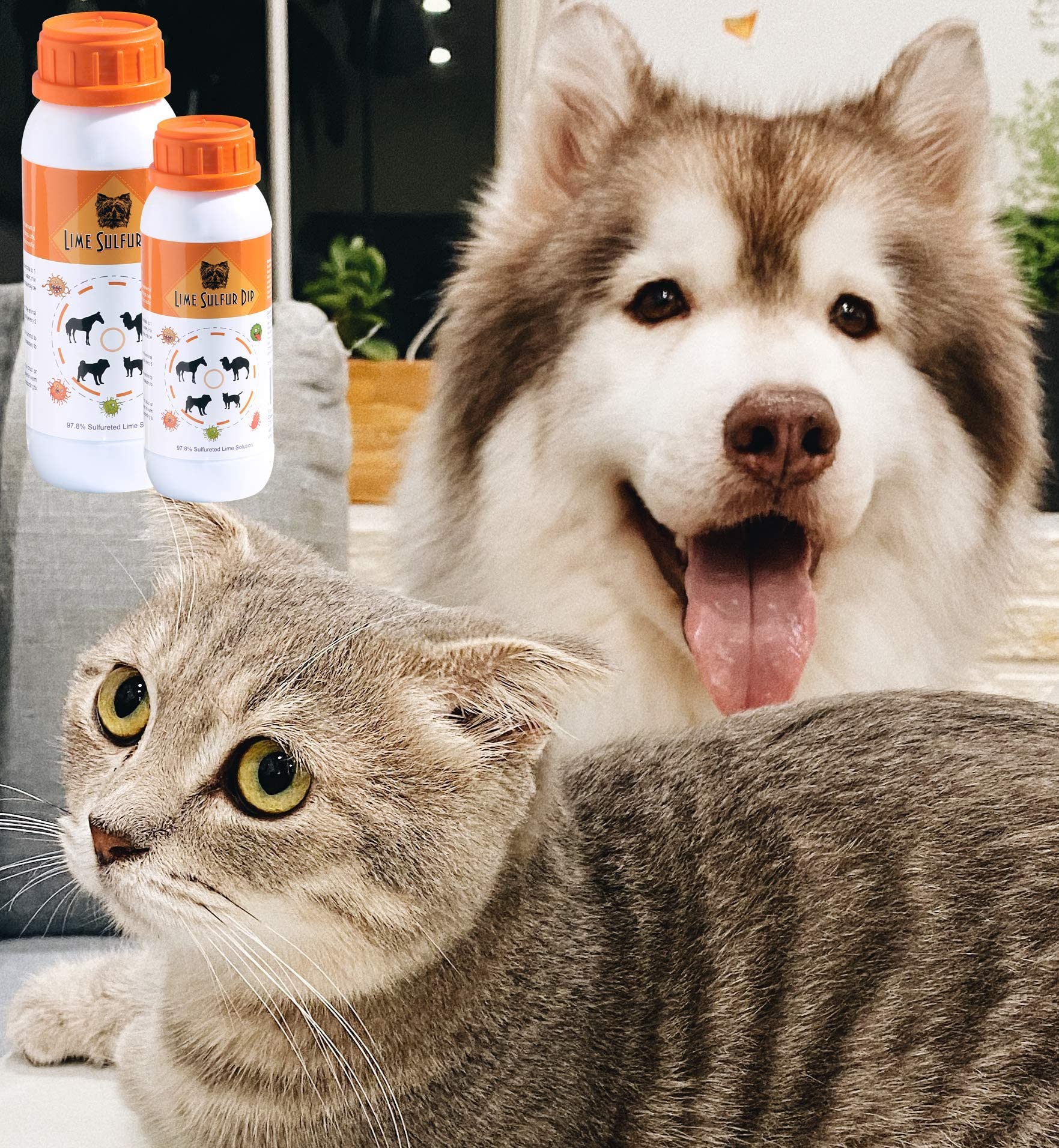 Classic'S Lime Sulfur Dip (8 Oz - Extra Strength Formula - Safe Solution For Dog, Cat, Puppy, Kitten, Horse