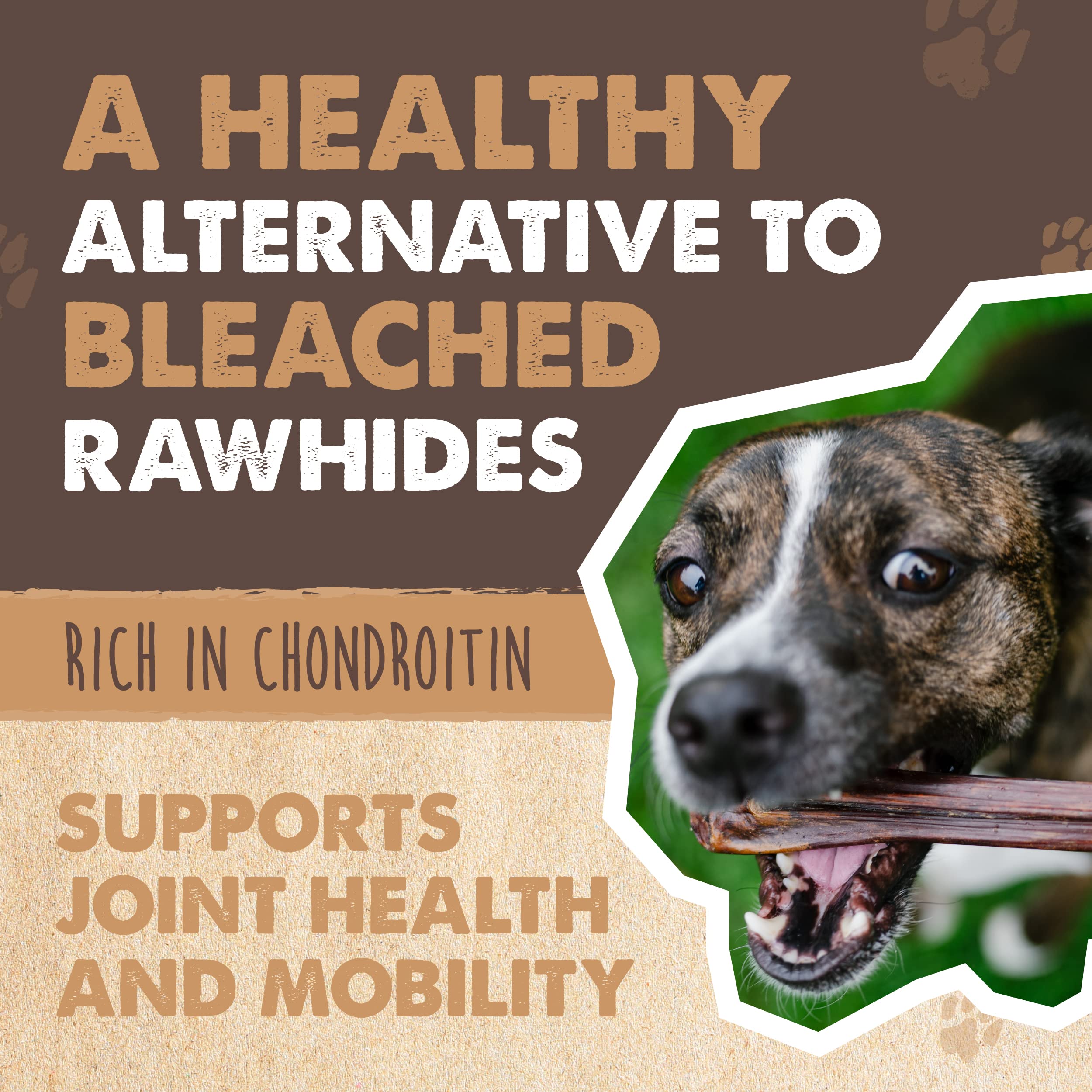 Mighty Paw - Beef Gullet Sticks for Dogs (6 Inch - 30 Pack) | Premium Beef Esophagus Dog Treats. Gullet Sticks, Ideal for Large