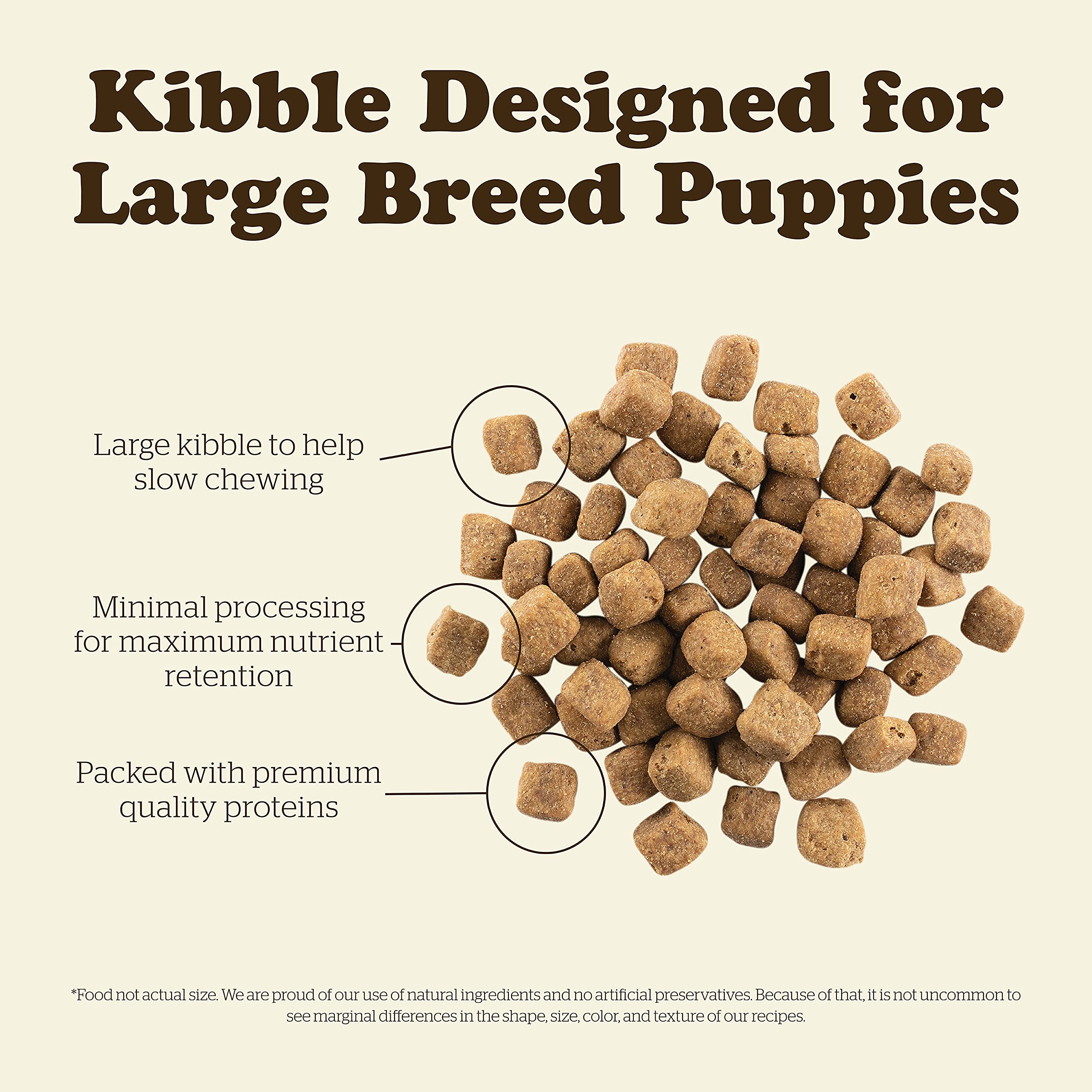Now Fresh Grain-Free, Dry Dog Food, Real Meat and Fish, Turkey, Salmon and Duck Large Breed Puppy Recipe, 12 lb Bag