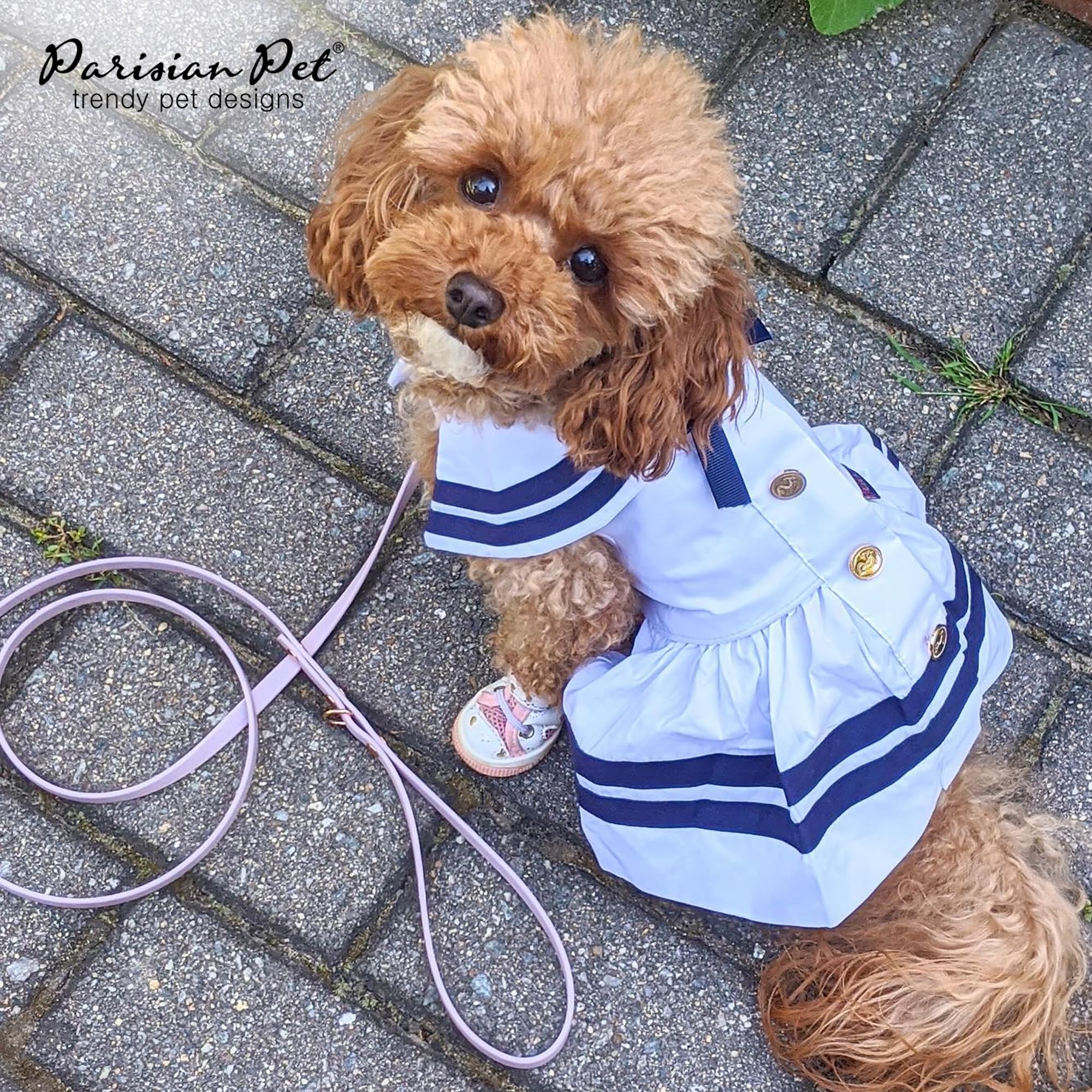 Parisian Pet Dog Dress - Lightweight Sailor Outfit - Breathable Summer Clothes - Pure Cotton White And Blue Dress - Xs For Small