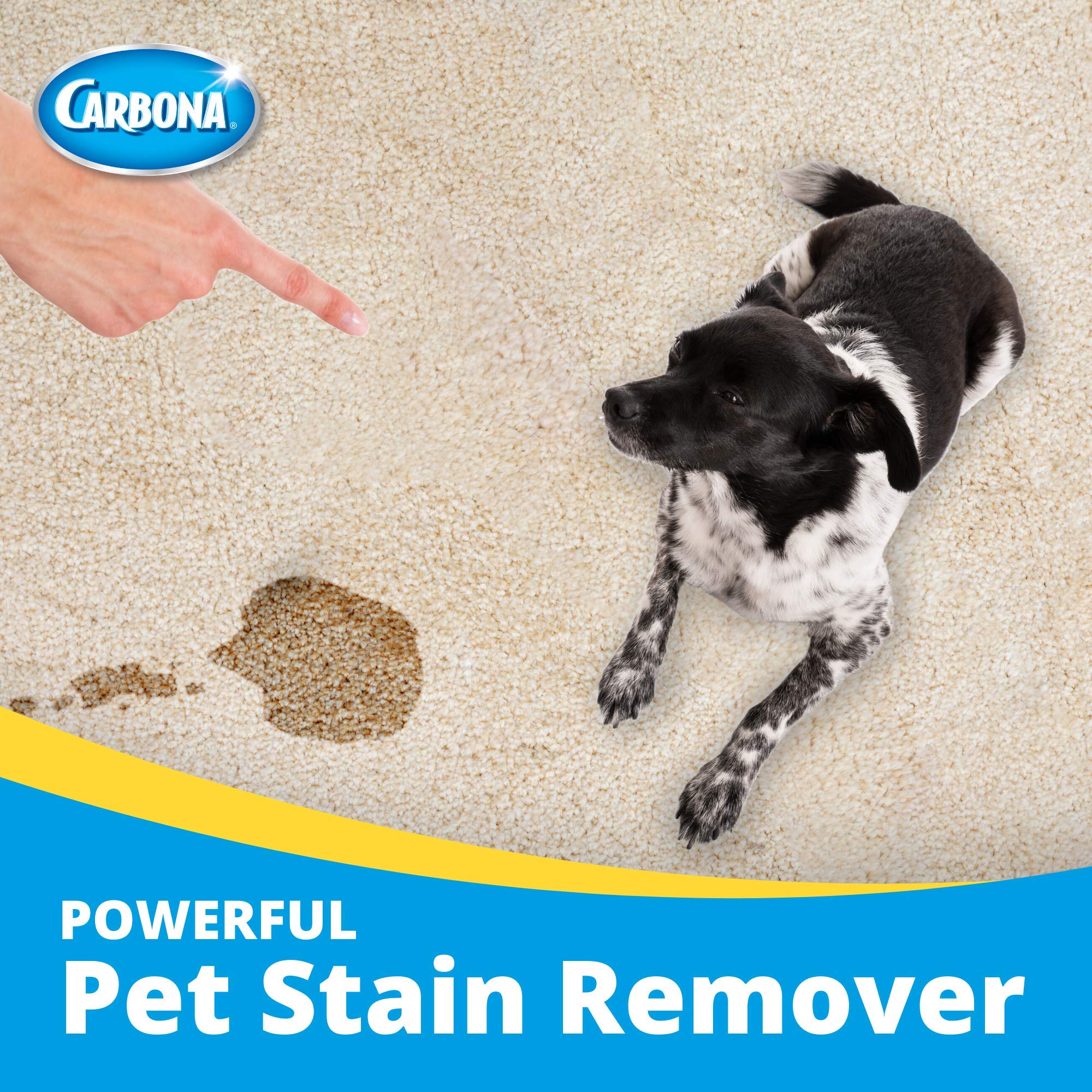 Carbona Oxy-Powered Pet Stain & Odor Remover W Active Foam Technology  22 Fl Oz 2 Pack