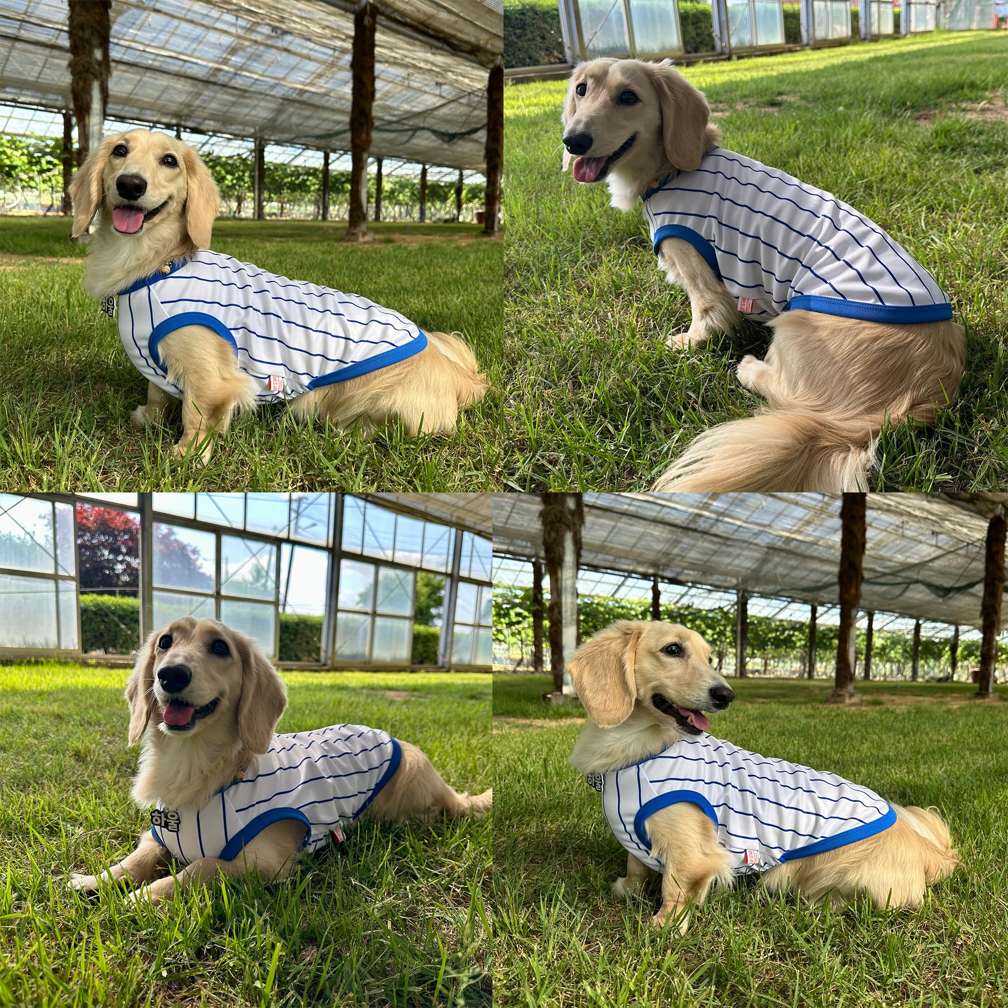 D Doggy Star Dachshund Clothes For Dogs Baseball Mini And Adults T Shirts (Xl,Baseball Blue)