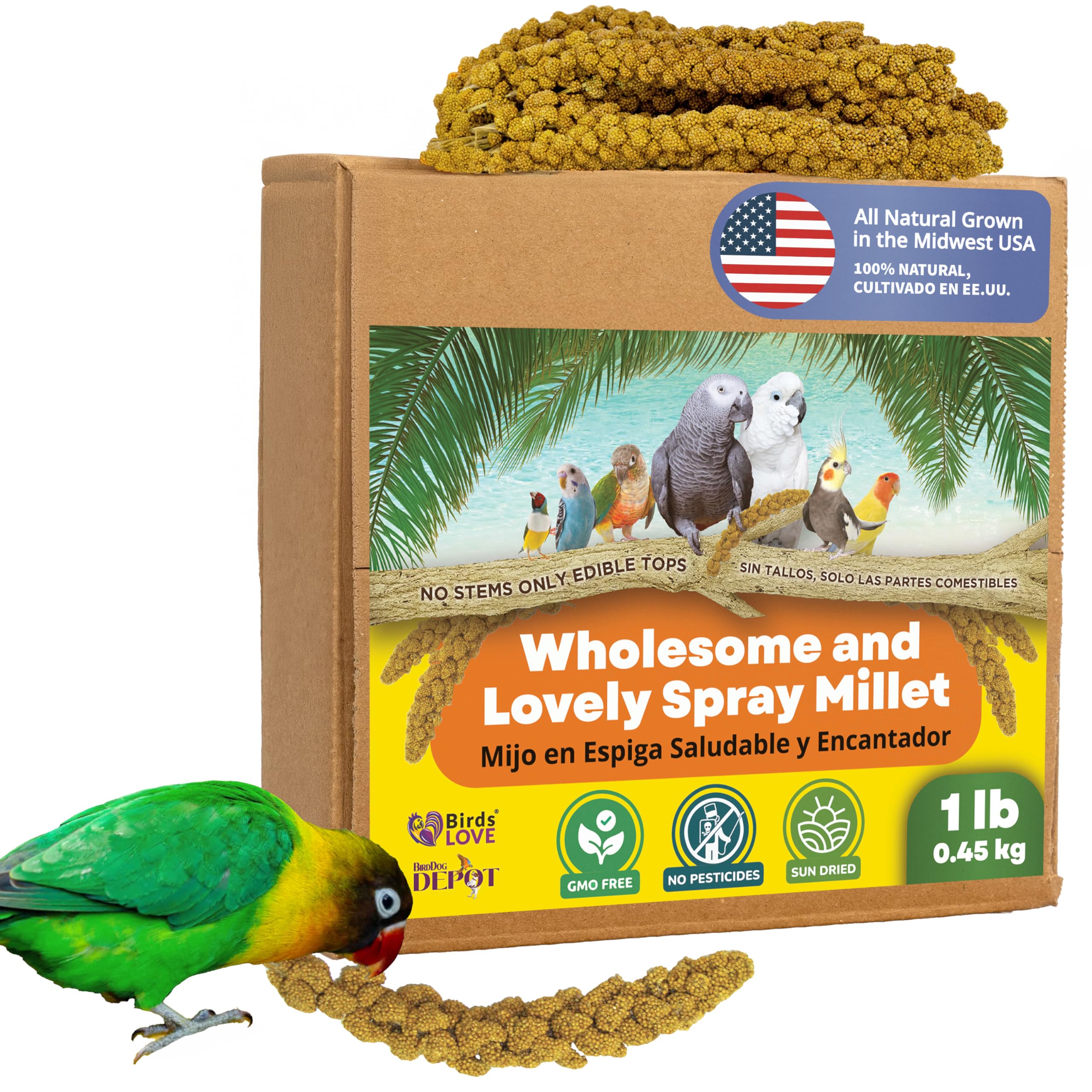 Birds LOVE Spray Millet - 1 lb GMO-Free, No Stems (Edible Tops Only) - Healthy Treat for Cockatiels, Lovebirds, Parakeets, Finch