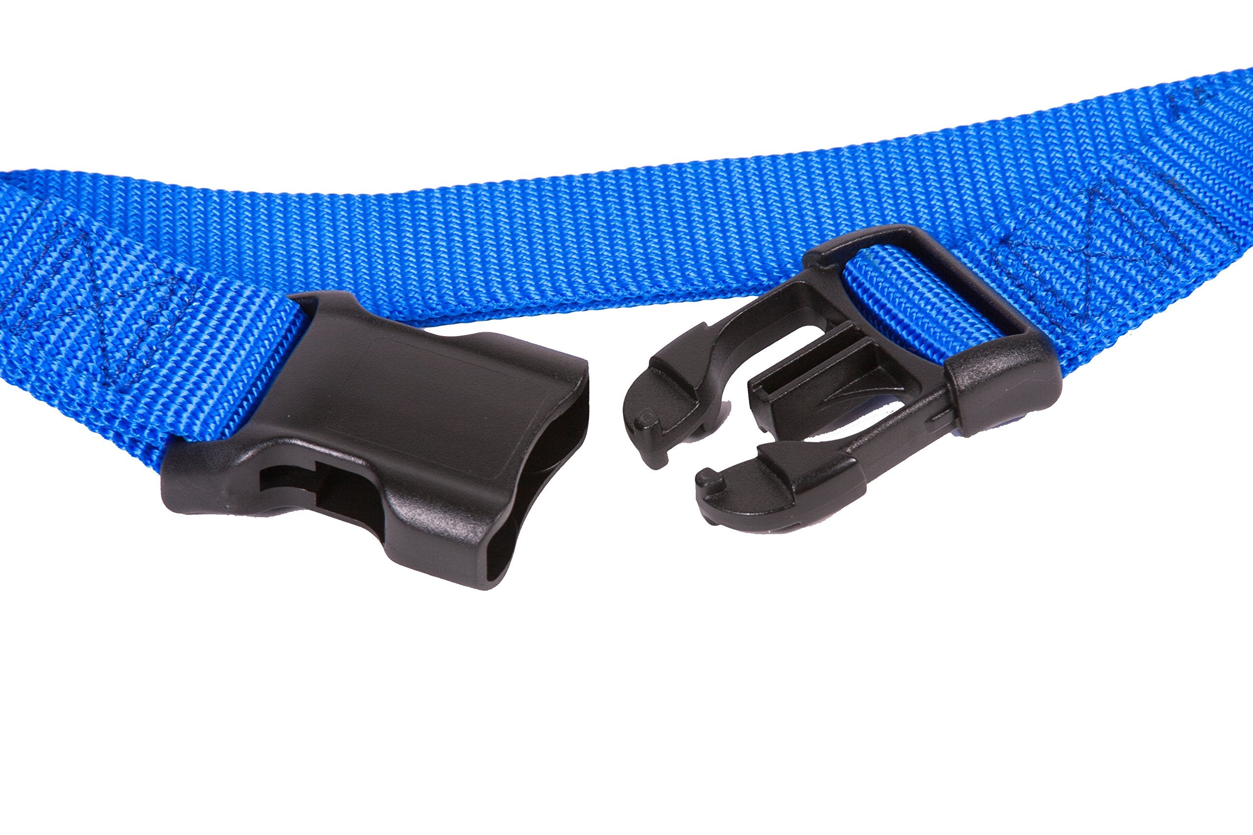 GOGO Pet Products 3/8-Inch Martingale Dog Collar, X-Small, Blue