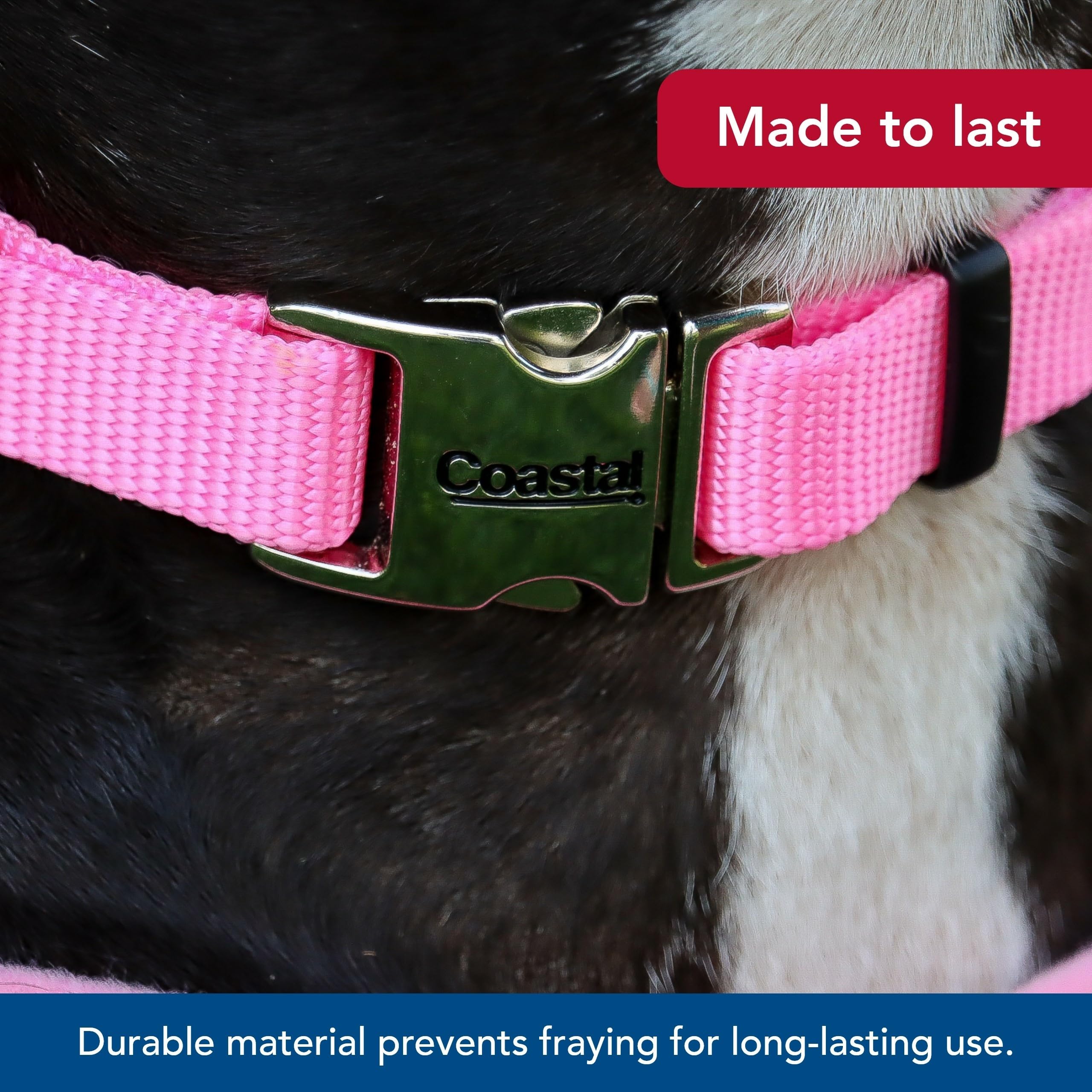 Coastal Pet Adjustable Dog Collar with Metal Buckle - Comfortable Fade-Resistant Dog Collar with Snap Lock - Perfect for Walking