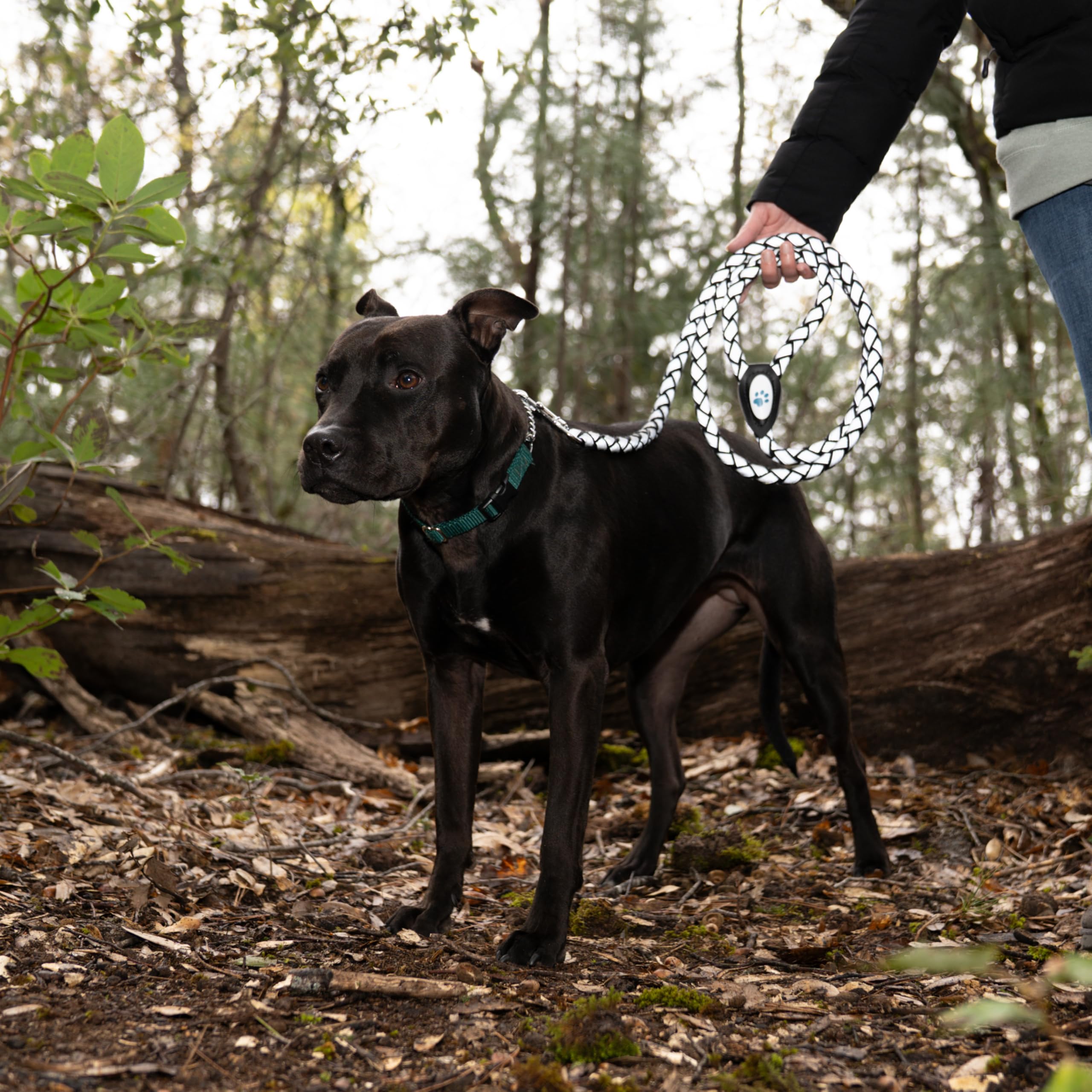 Safetypup Xd Reflective Dog Leash. Heavy Duty And Durable For Large And Medium Breeds. 6 Ft Long Rope, Tangle Free Braided Leash