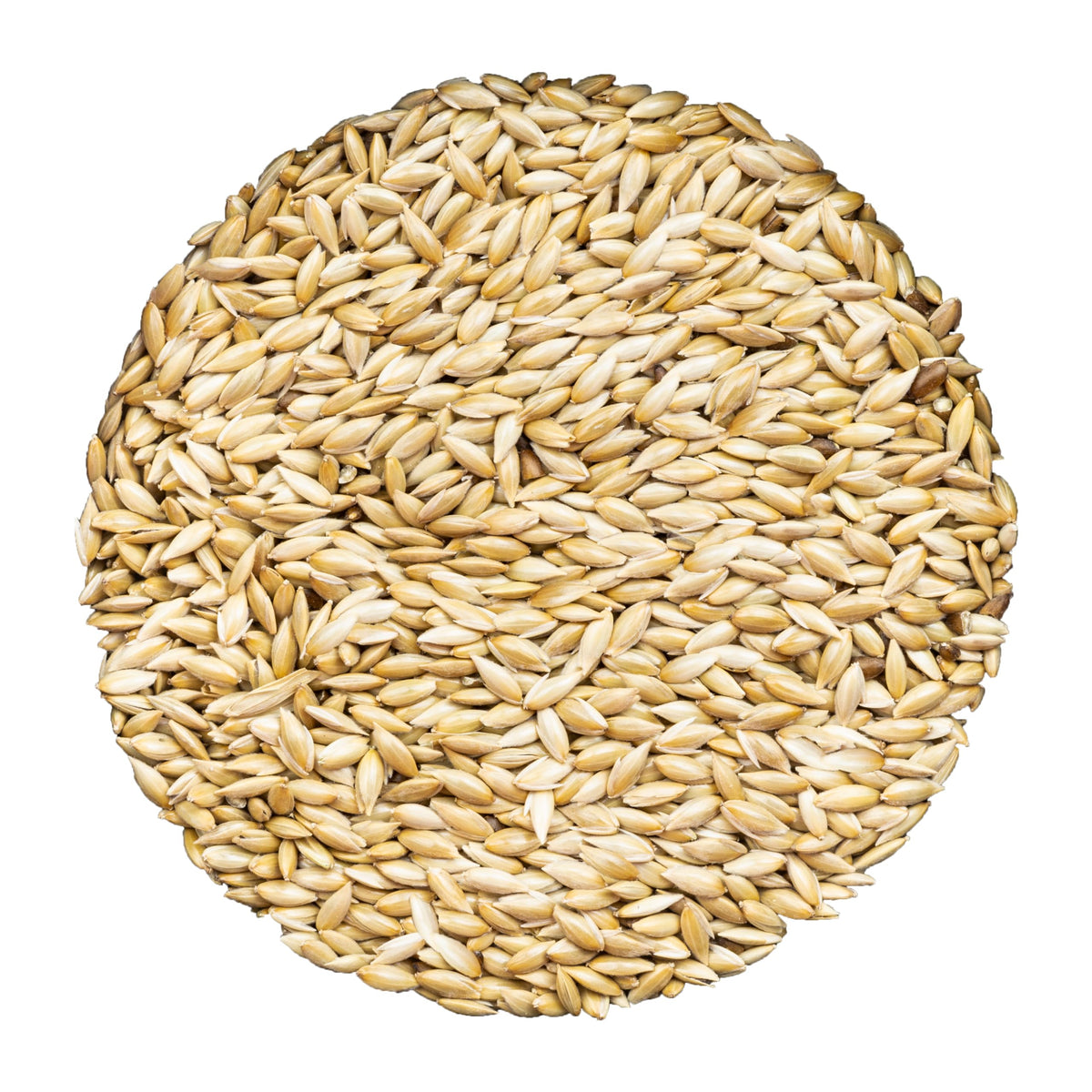 Unida Alpiste Canary Seeds For Birds - 10 Lbs, 100% Natural, Non-Gmo, No Additives, Bulk Wild Bird Feed