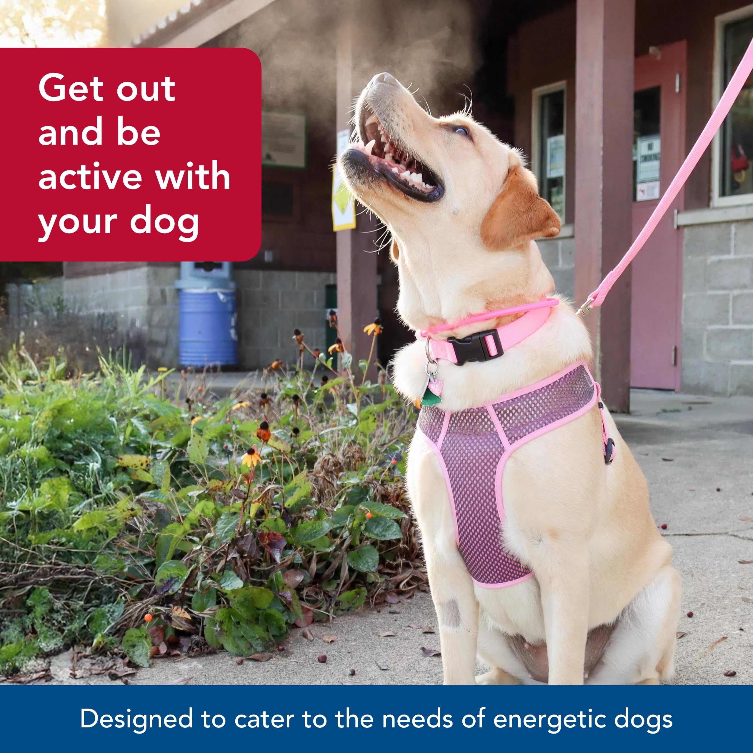 Coastal Pet Comfort Soft Sport Wrap Adjustable Dog Harness - Large & Small Dog Harness - Durable Harness For Dogs With Mesh Chest Pad - Grey With Red, 3/8' X 14-16'