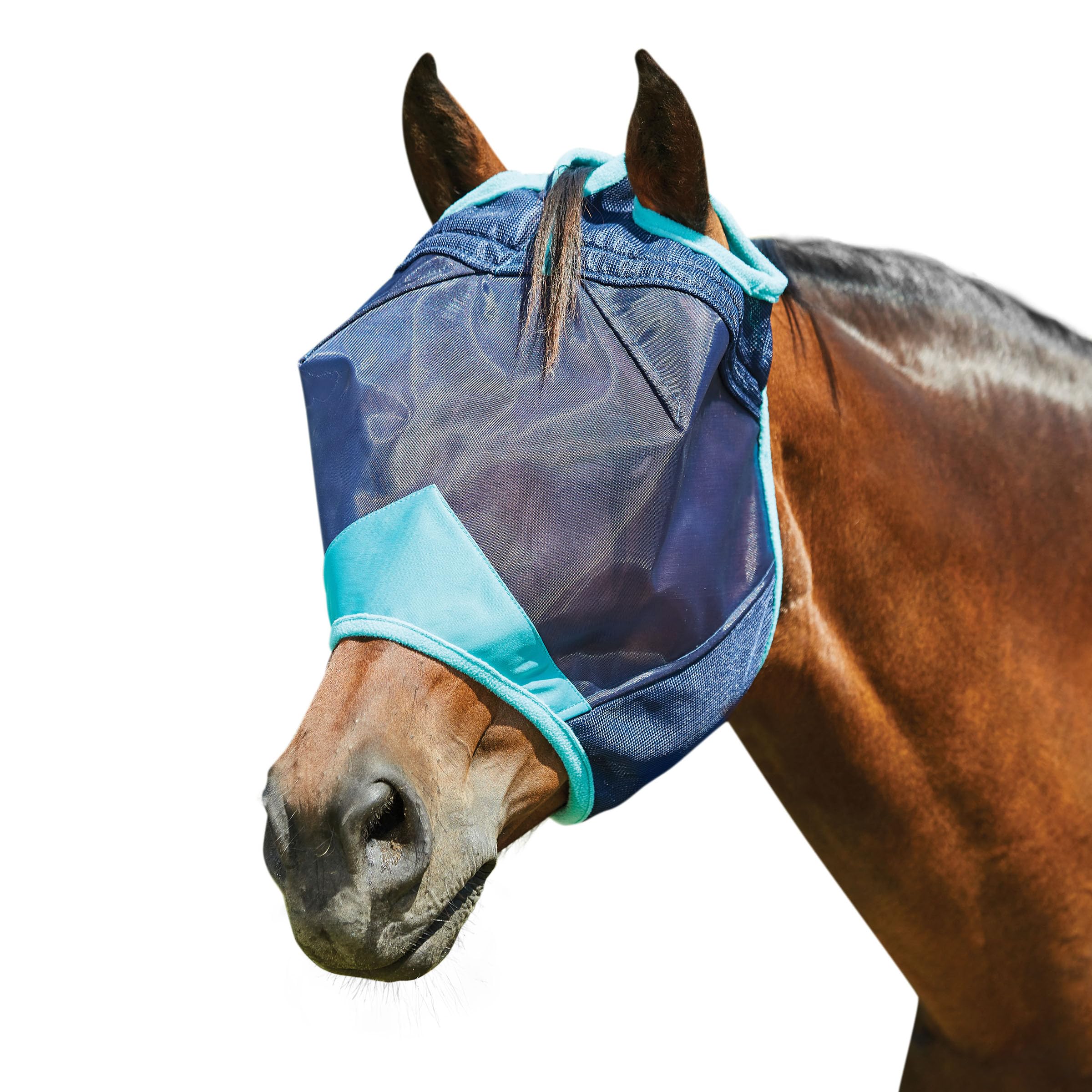 WeatherBeeta ComFiTec Deluxe Fine Mesh Mask, Navy/Turquoise, Small Pony