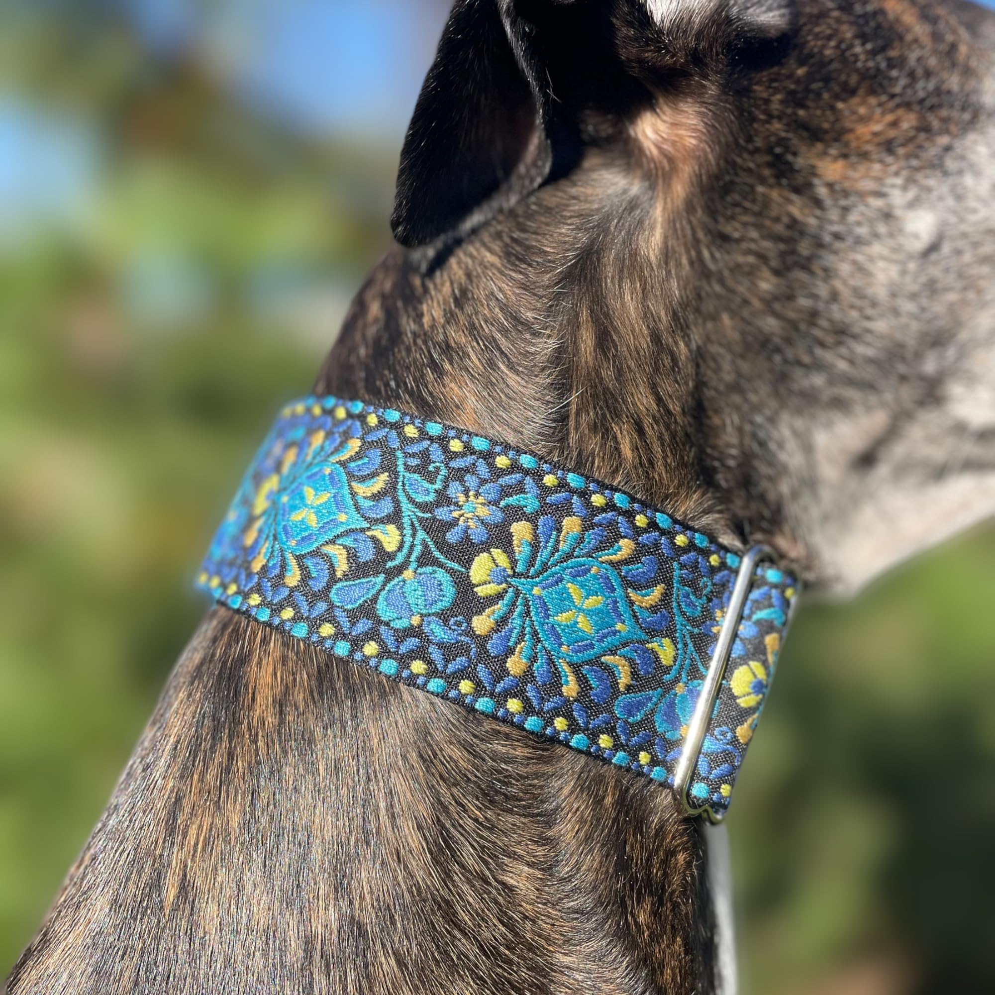Martingale Dog Collar For Greyhound Saluki Whippet And Other Breeds With Similar Neck 2 Wide (14-18) Matching Leash Availa