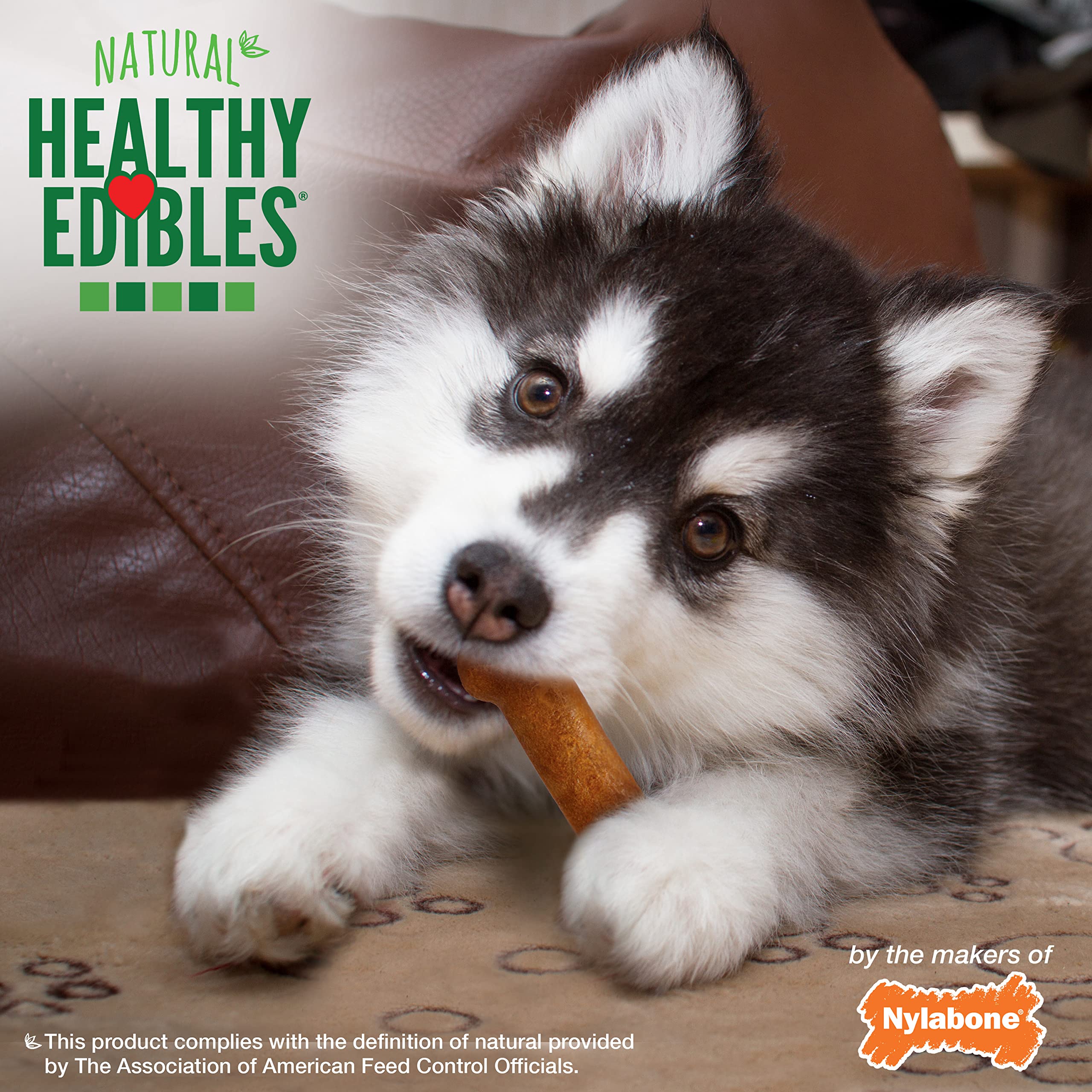 Nylabone Healthy Edibles Natural Puppy Chews Long Lasting Treats for Puppies, Turkey & Sweet Potato Flavor, Small/Regular (8 Cou