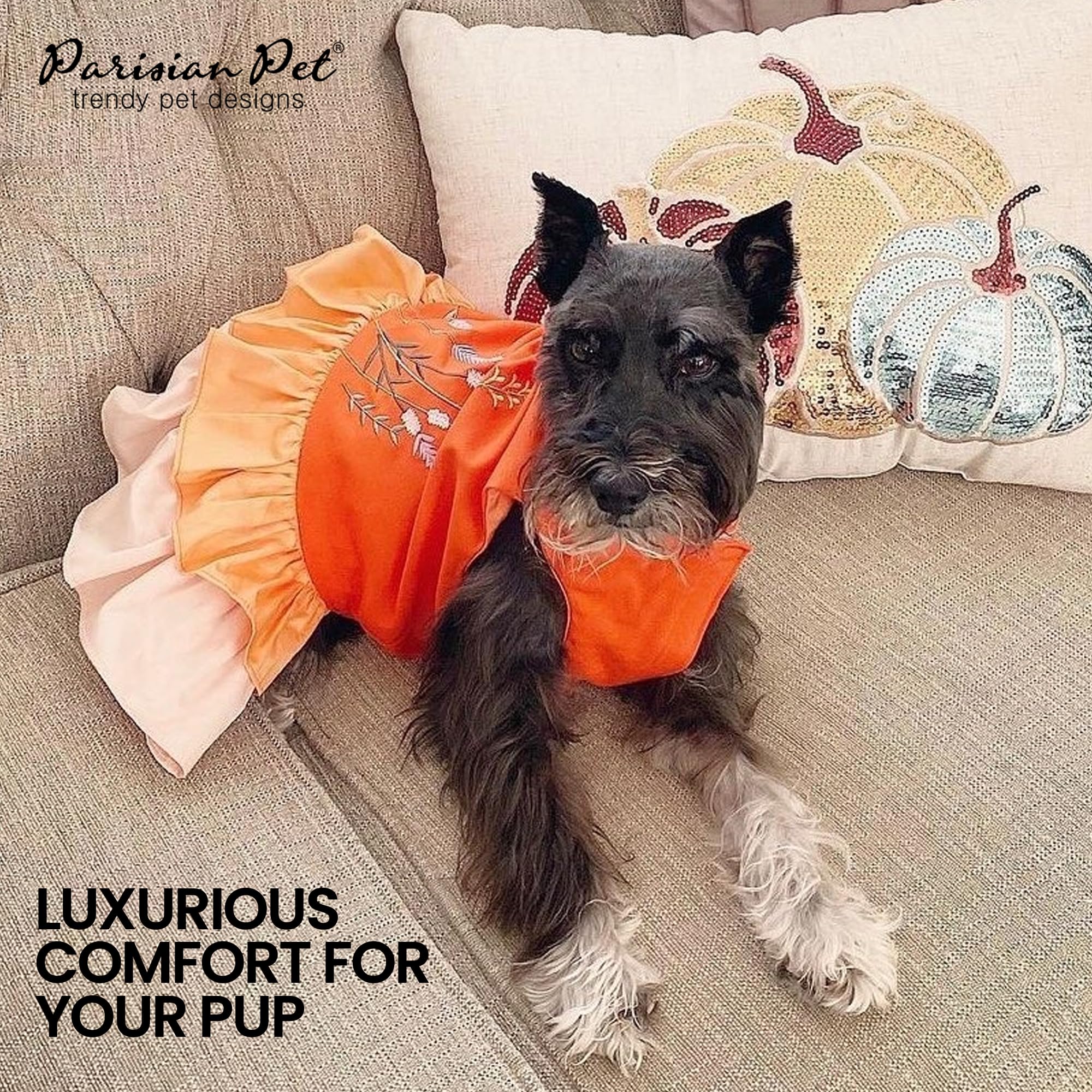 Parisian Pet Color Block Summer Dress - Lightweight Sleeveless Frock - Beach Outfit - Machine Washable - For Large Dogs Girl Xl