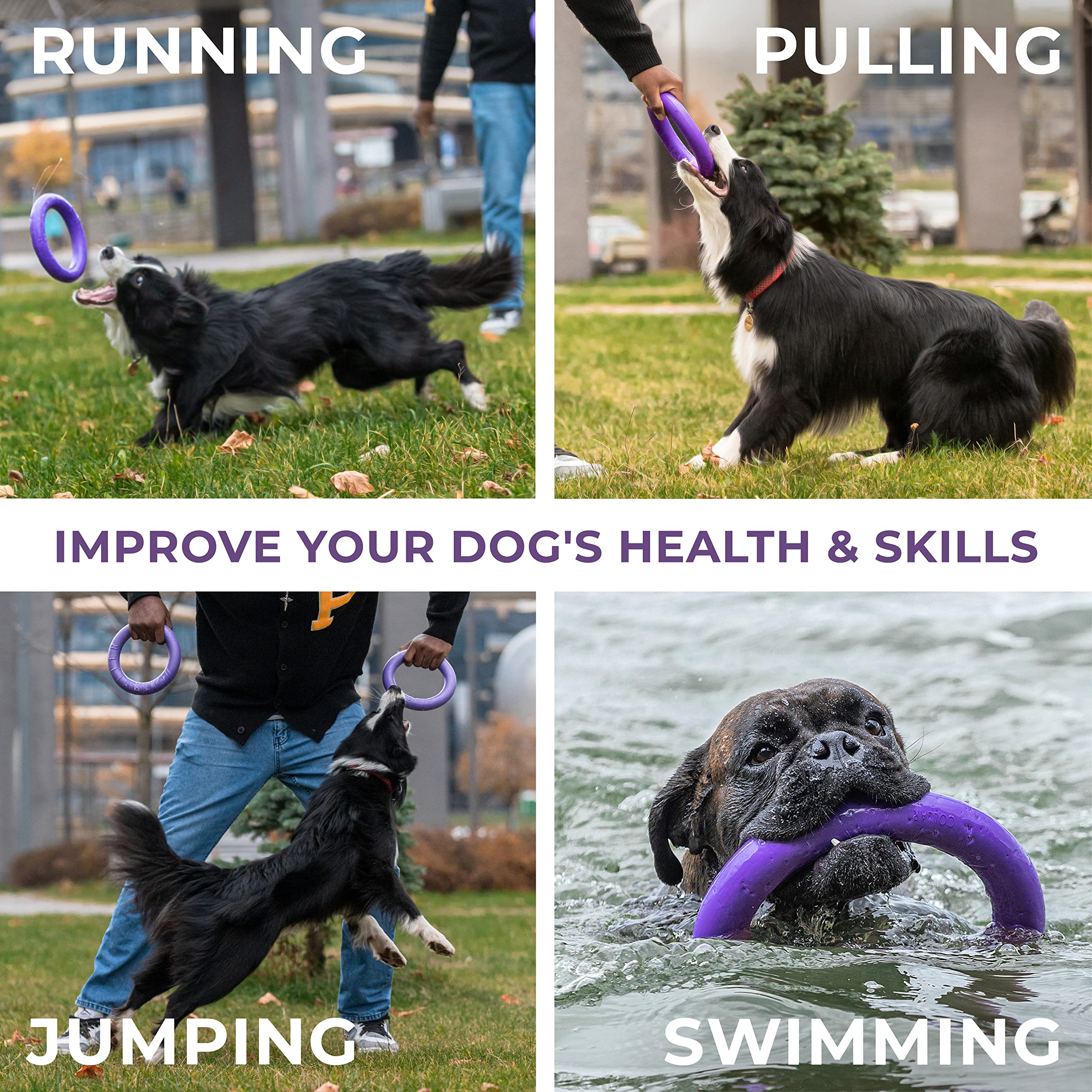 COLLAR Puller Outdoor Dog Ring Toy - Tug of War & Fetch for Small to Large Dogs - Purple, MIDI Size, Polymer Foam
