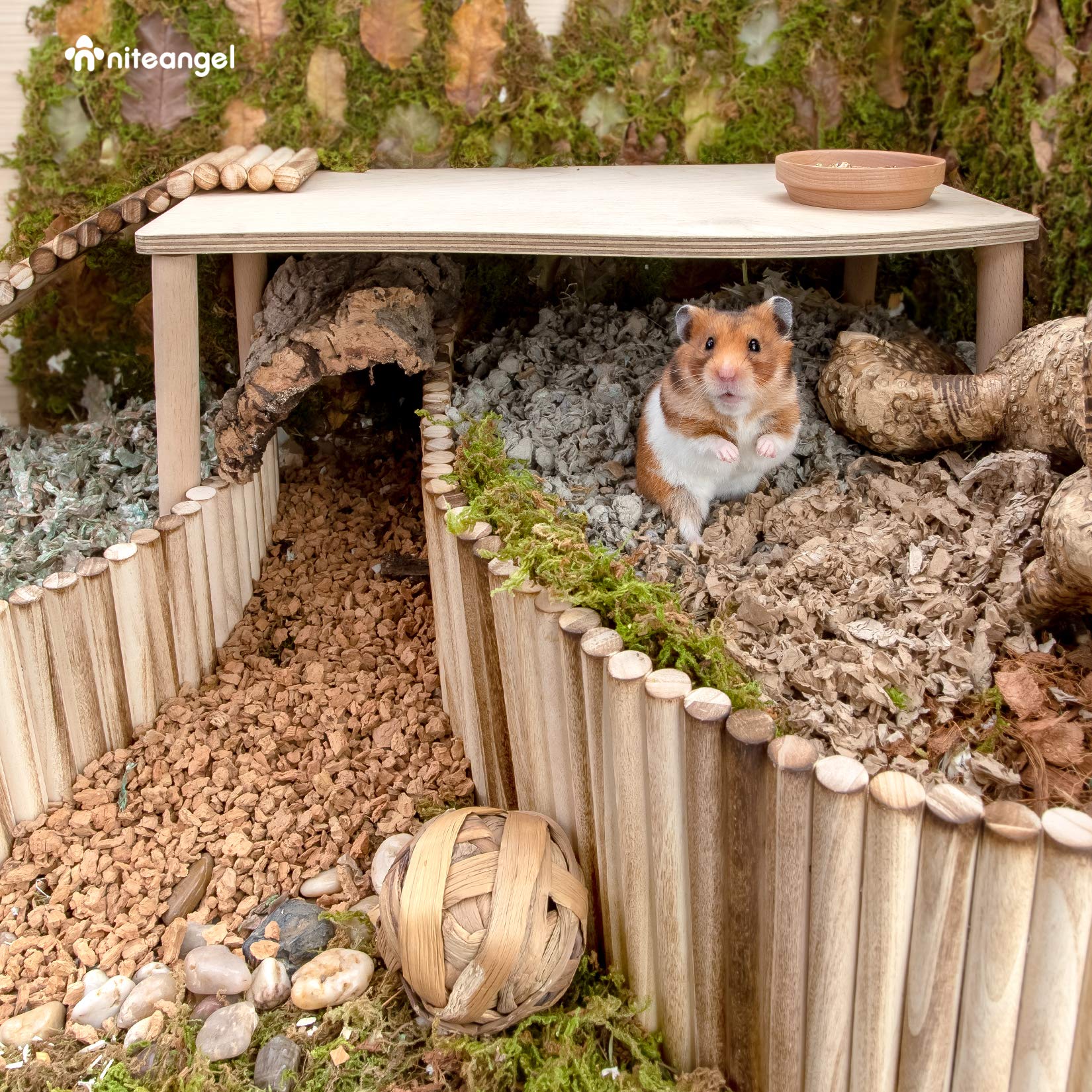 Niteangel Small Animal Climbing Toys - Suspension Bridge Ladder For Hamsters Gerbils Mice Rats Guinea Pigs Or Other Small Pets (23.6'' X 7.8'')