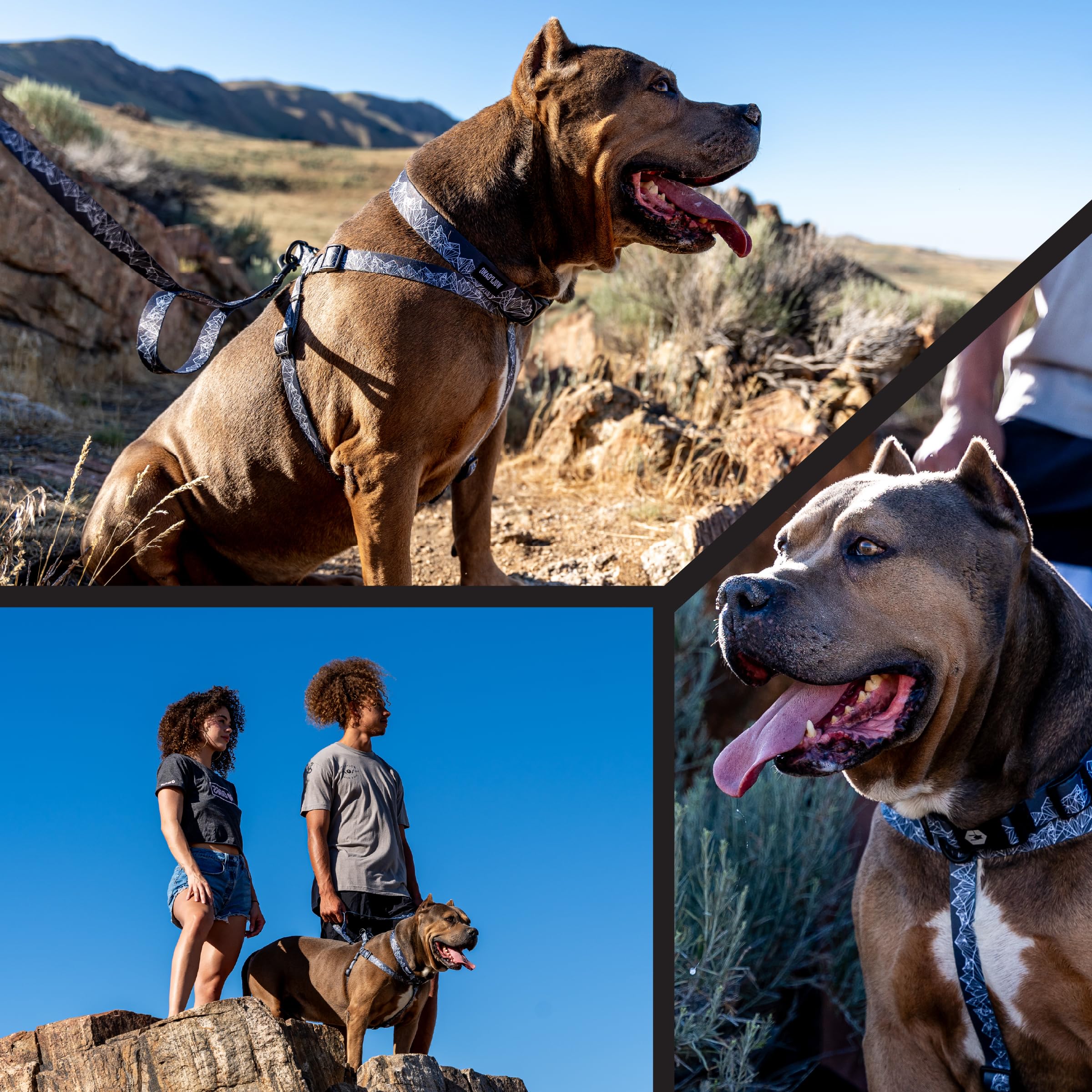 Wolfgang Heavy Duty Adjustable Dog Harness, Pull-Tested to Over 800 lbs for Walking & Training, WolfMountain Print, Extra Large