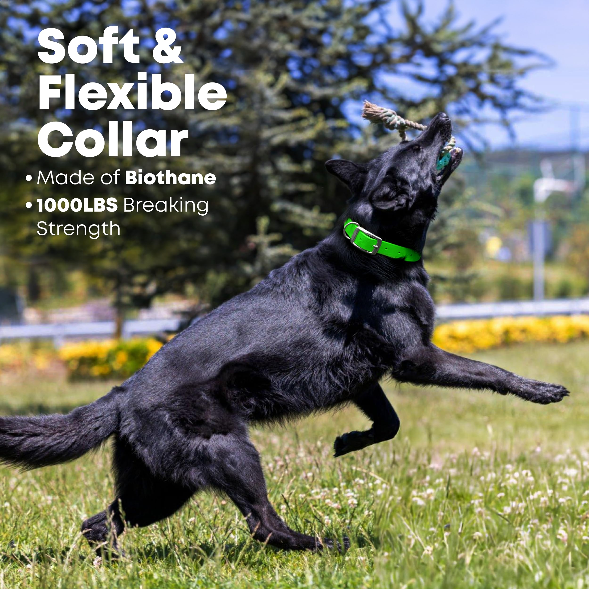 Regal Dog Products Medium Light Green Waterproof Dog Collar And Leash Set - Vinyl Coated Biothane Pet Training Collar With Heavy