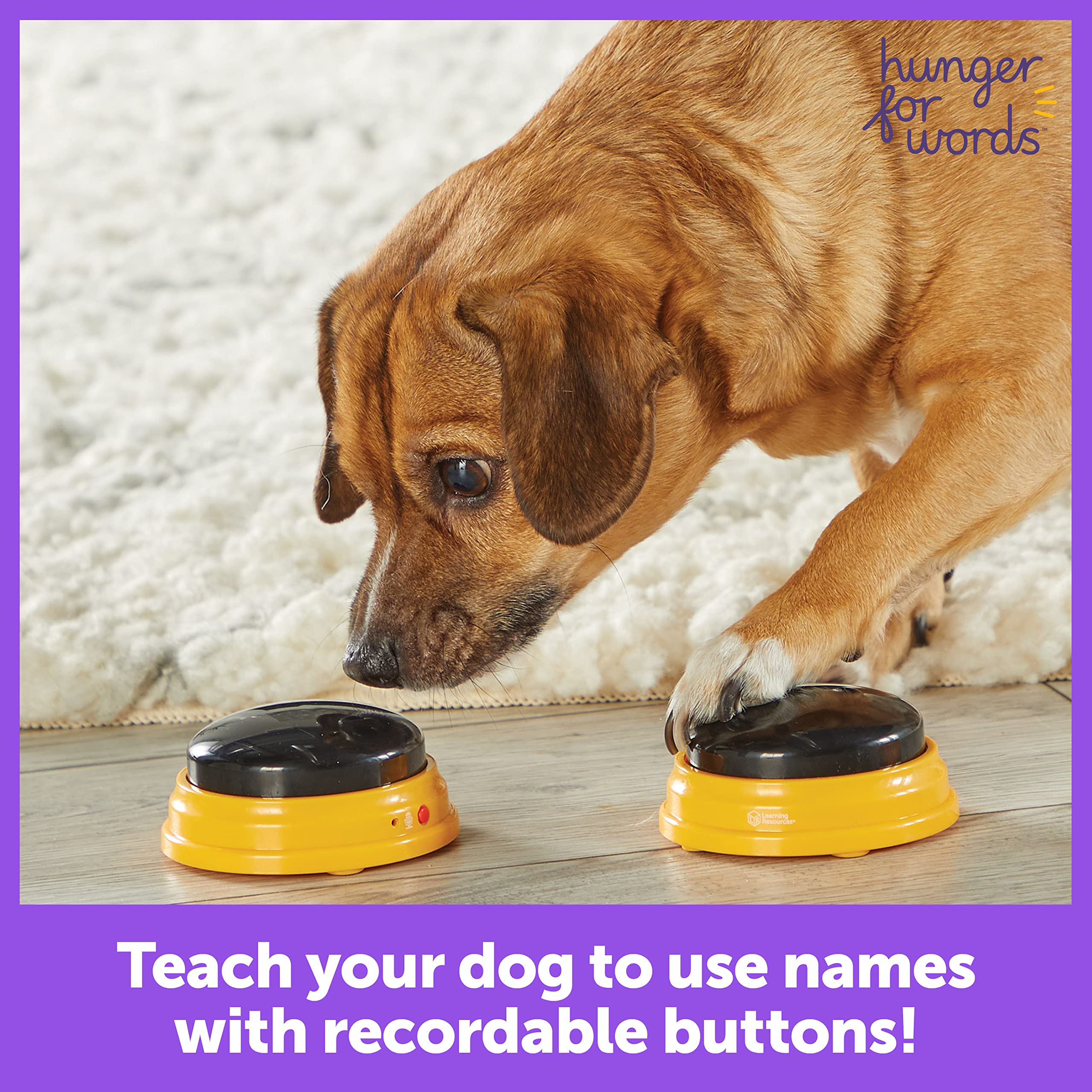 Hunger For Words Talking Pet Next Words Names - 3 Piece Set Of Recordable Speech Buttons For Dog Training, Dog Buttons For Commu
