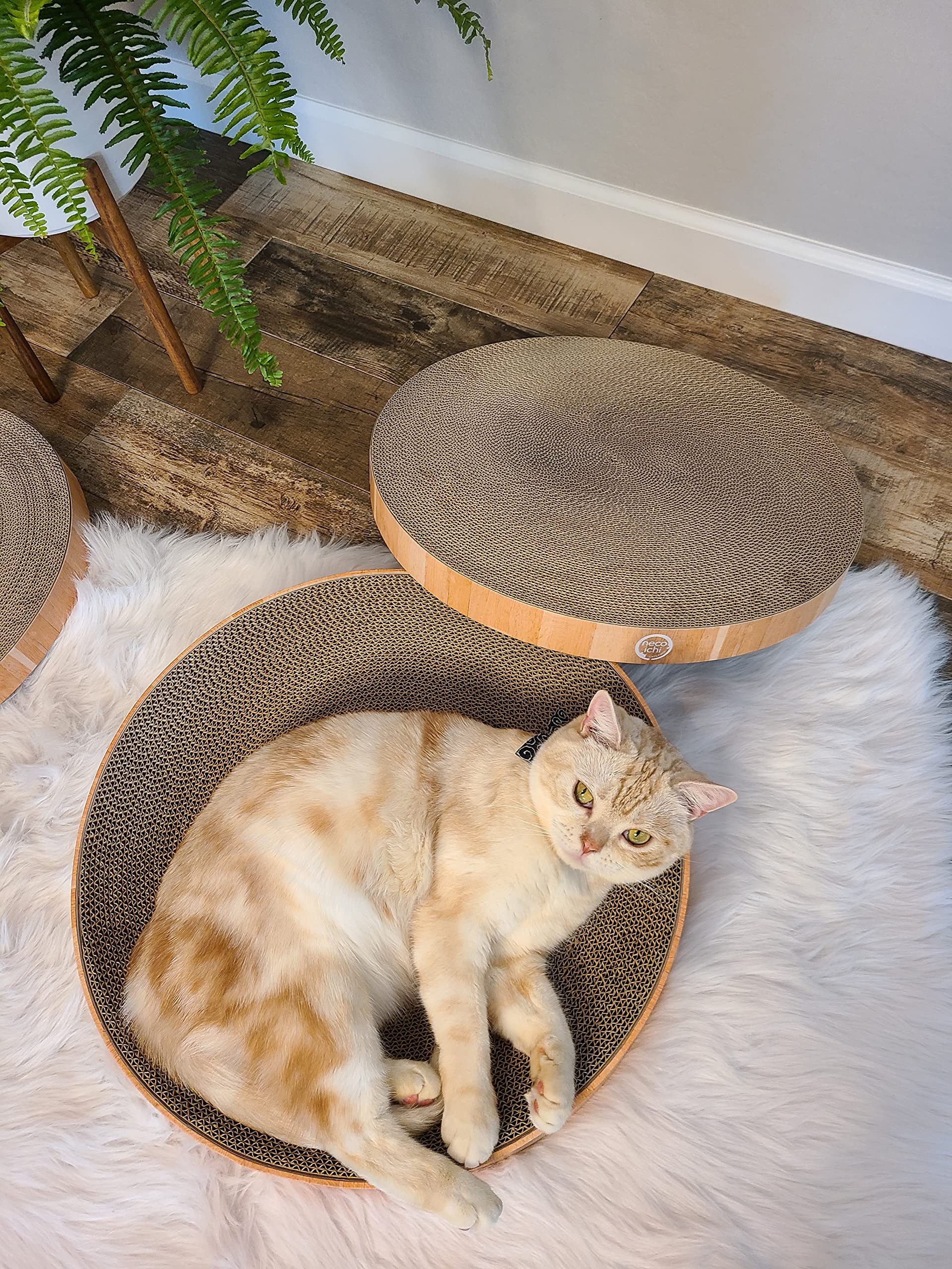 Necoichi Cat Scratcher Bowl Replacement For Indoor Cats - Cat Scratching Lounger With Reversible Usability And Extra Comfort For Lounge, Cardboard Bed Couch / (Regular, Oak)