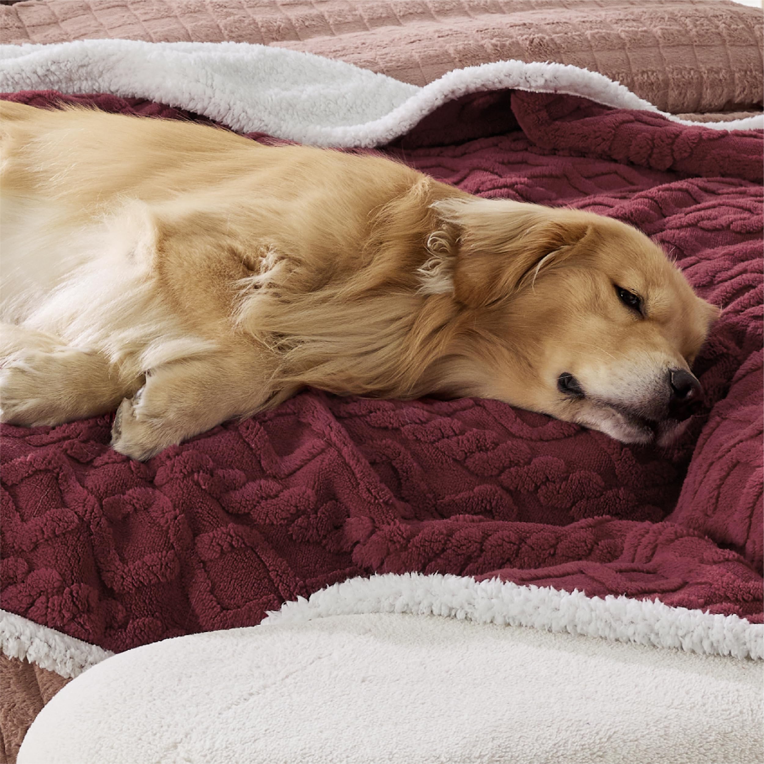 Bedsure Waterproof Dog Blankets For Large Dogs - Pet Blanket For Bed Couch Protector Washable, Premium Jacquard Coral Fleece Cat