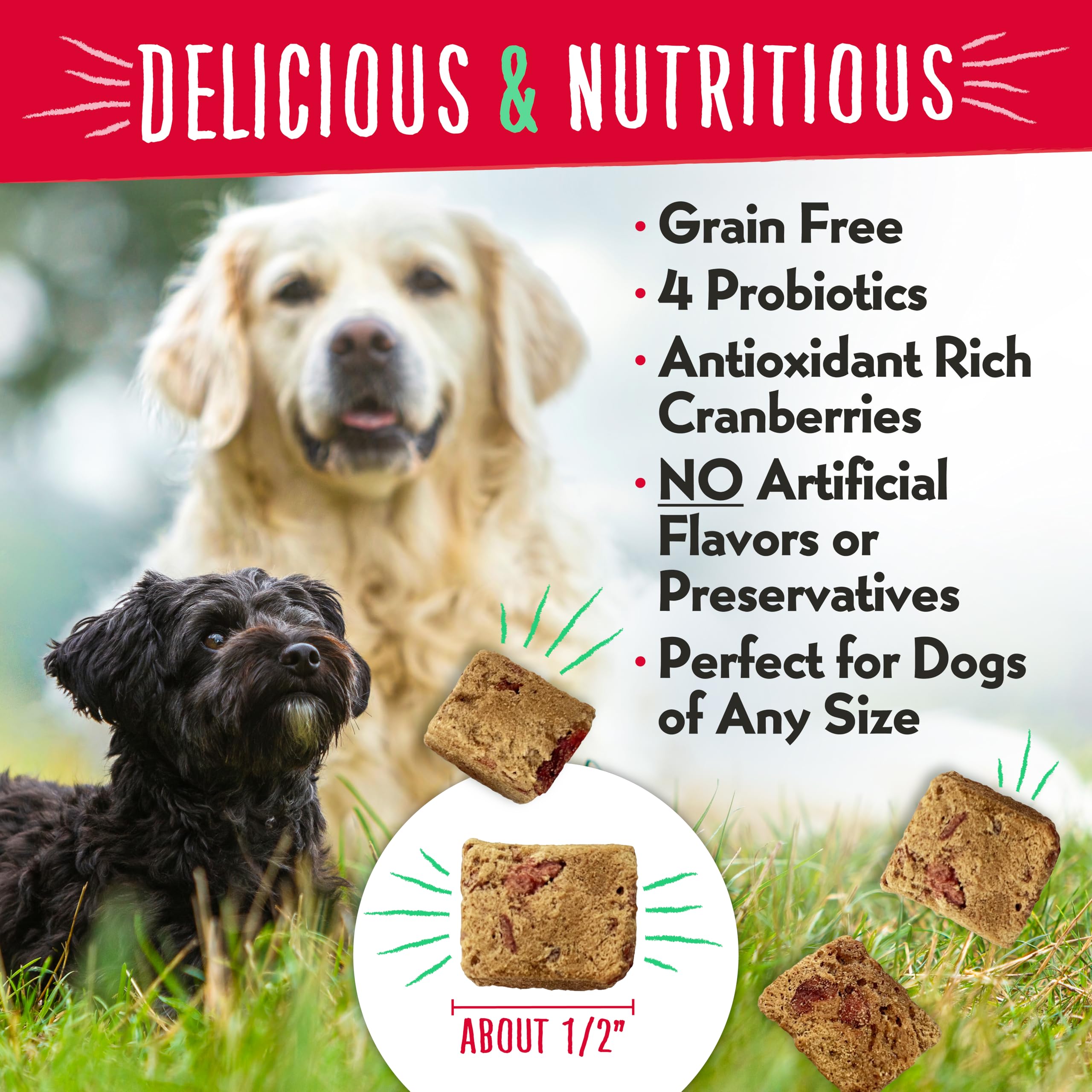 Charlee Bear Grain Free Meaty Bites Dog Treats, Chicken & Cranberries, 2.25 oz, High Protein Training Treats, Made in USA