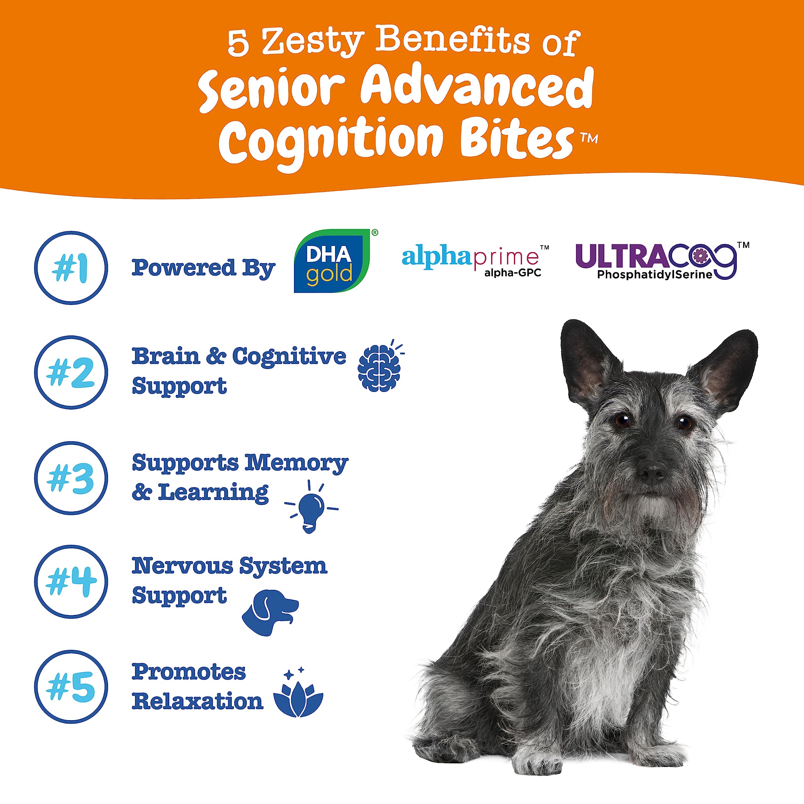 Zesty Paws Advanced Cognition Soft Chews for Dogs - with Omega 3 DHA, Ashwagandha & Alpha GPC - for Senior Dog Brain Health & Ne