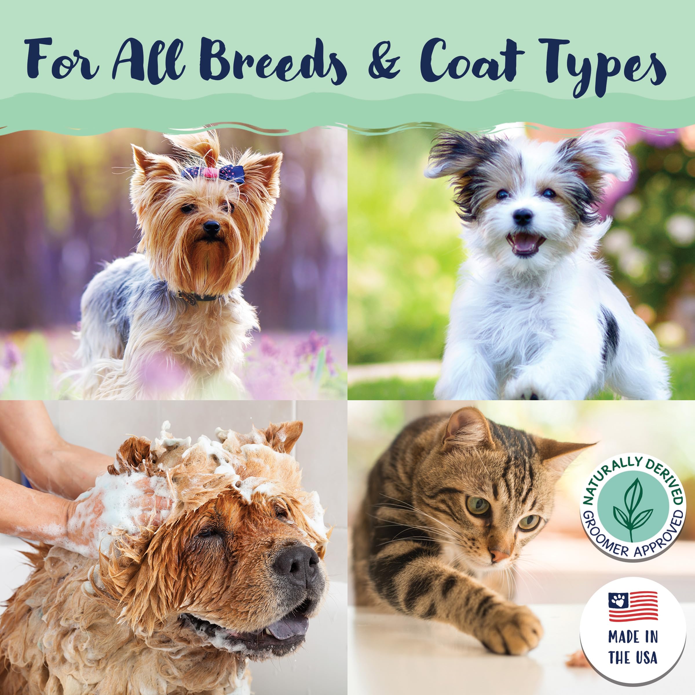 Bobbi Panter Itchy Dog Shampoo For Soothing Skin Relief, Naturally Derived Ingredients, Tear-Free, Salt-Free, Paraben-Free, Ph-Balanced, 20:1 Concentrated Formula, Green Apple Scent, 13 Oz.