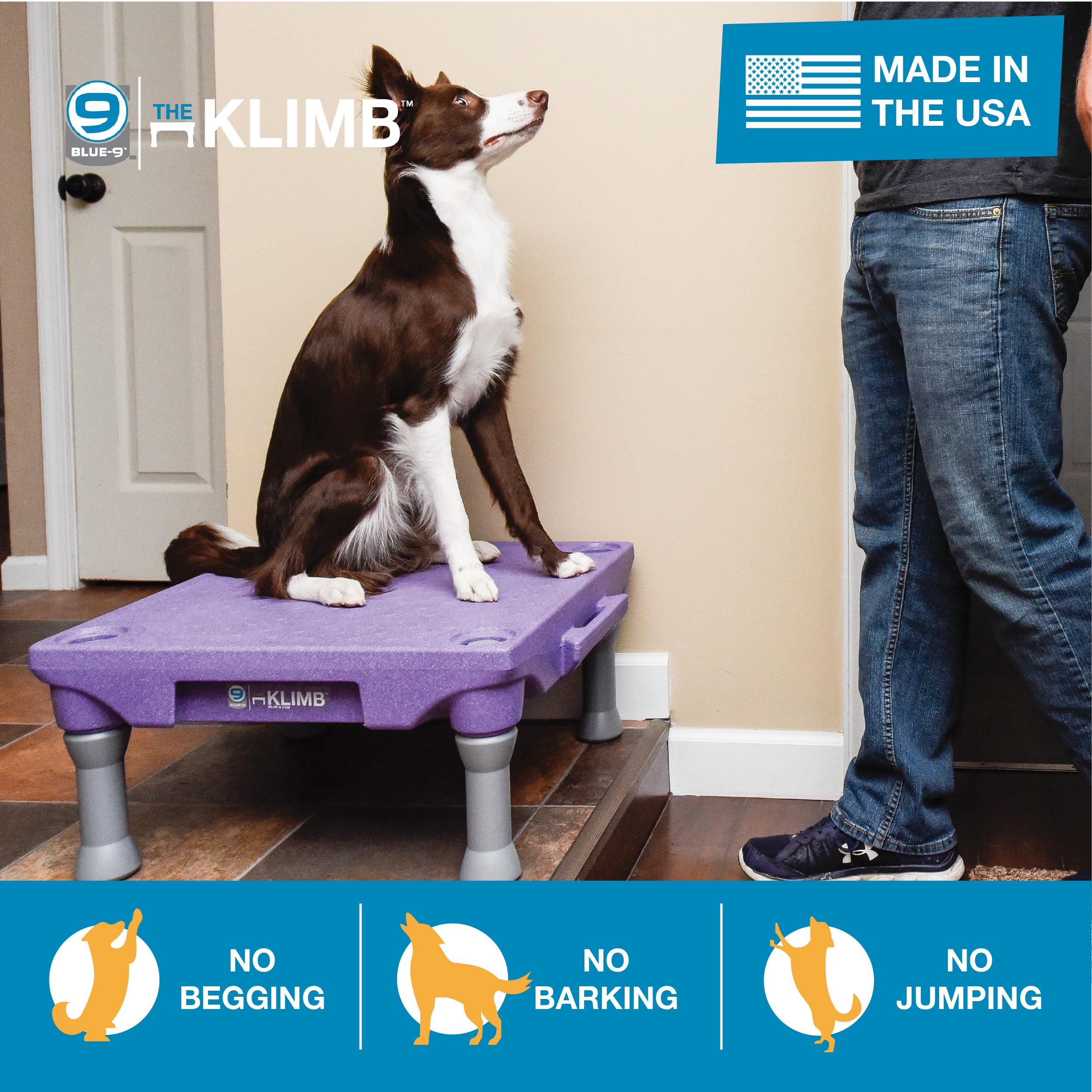 Blue-9 Pet Products Klimb Dog Training Platform And Agility System, Durable And Portable For Indoor Or Outdoor Use, Made In The
