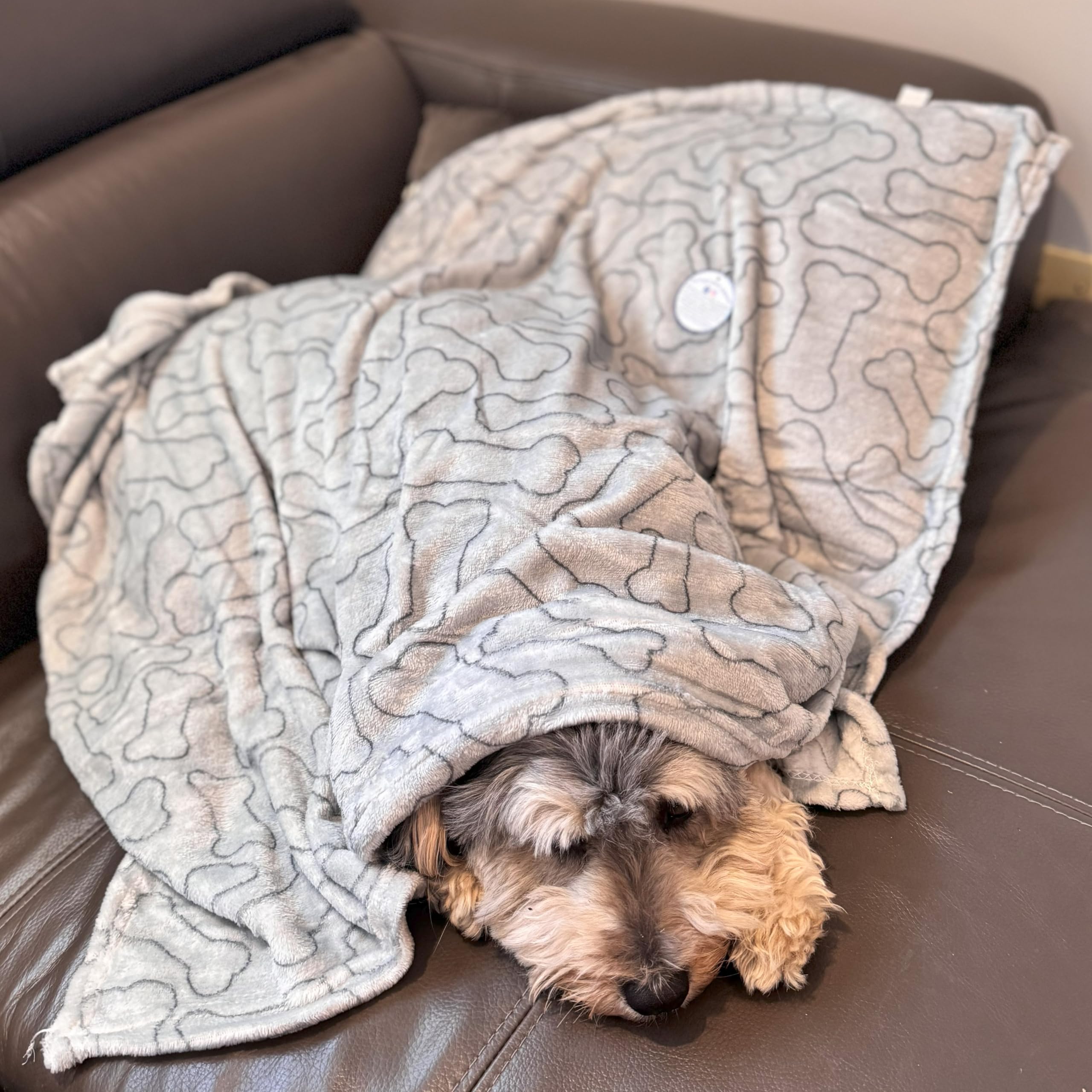 Spot Snuggler Bones Blanket - Ultra Soft, Machine Washable Dog Blanket For Beds, Furniture Protection, Travel, And Crates - 30 X 40 Inch, Grey Fleece Throw With Bone Print Design