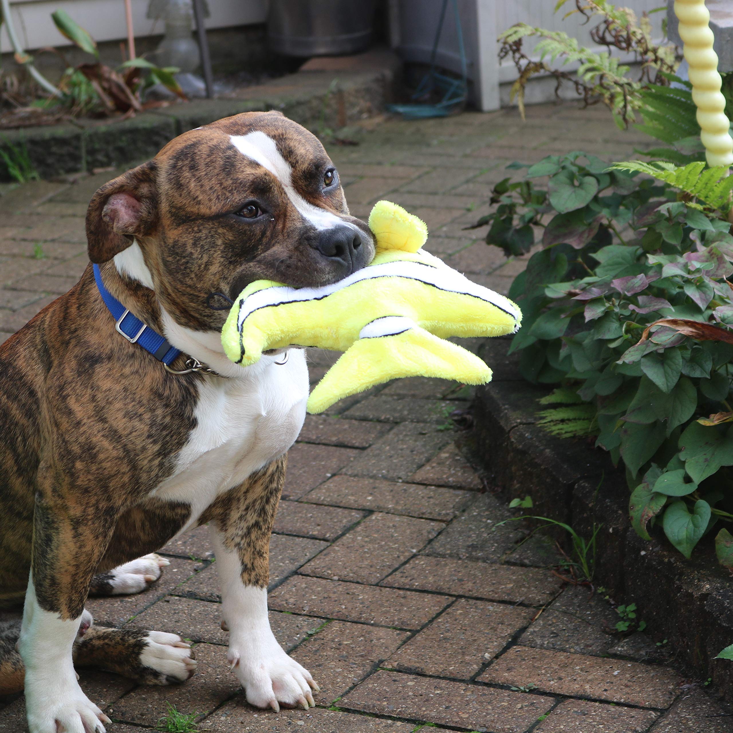 Smartpetlove Snuggle Puppy Tender-Tuffs Big Shots - Large Plush Dog Toys For Medium And Large Breeds - Stuffed Yellow Angelfish